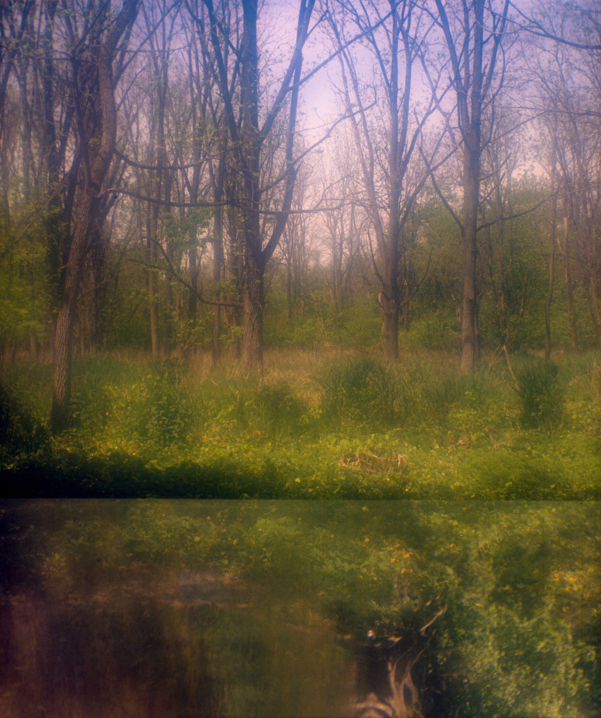 PA / Ansco Shur Shot / Ektachrome100+ exp. '00 / 5.19.20