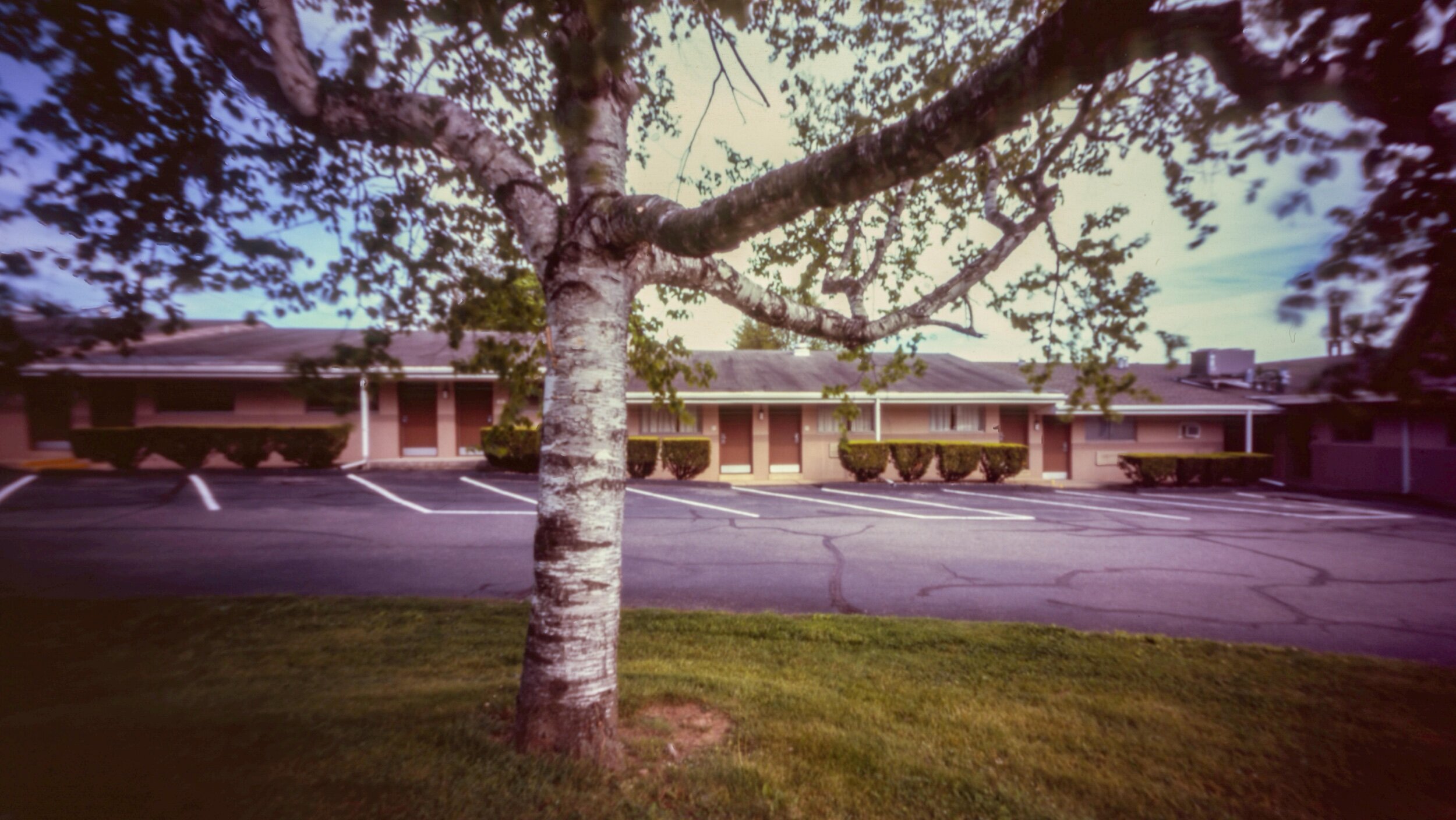 PA / Zero Image 6x9 / Provia100F / 5.16.20
