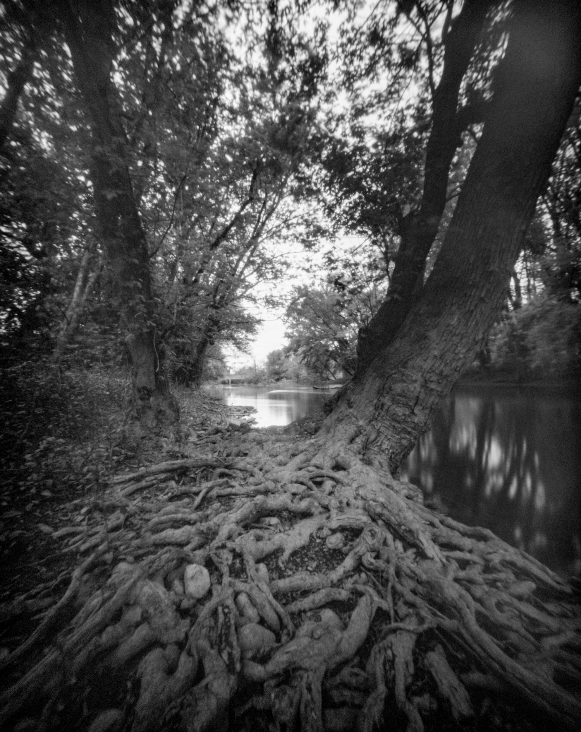 PA / Zero Image 4x5 / Delta100 Exp. '07 / 5.24.20