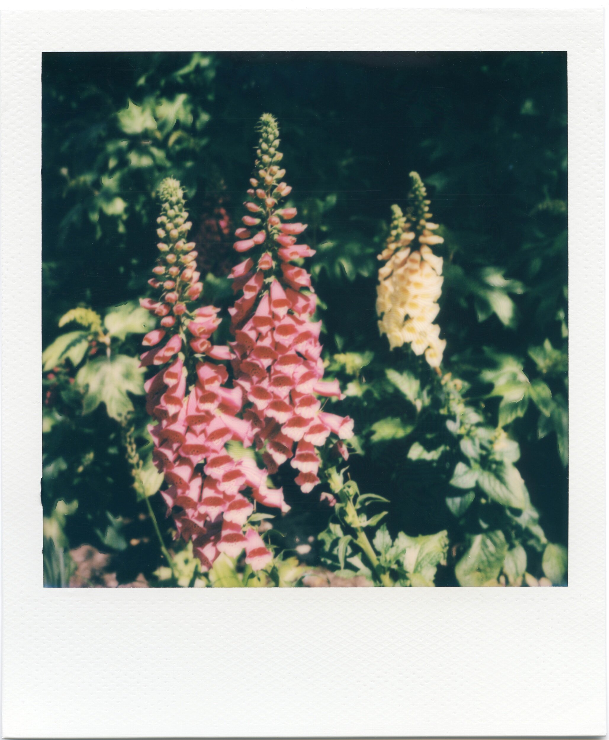PHL / 5.20