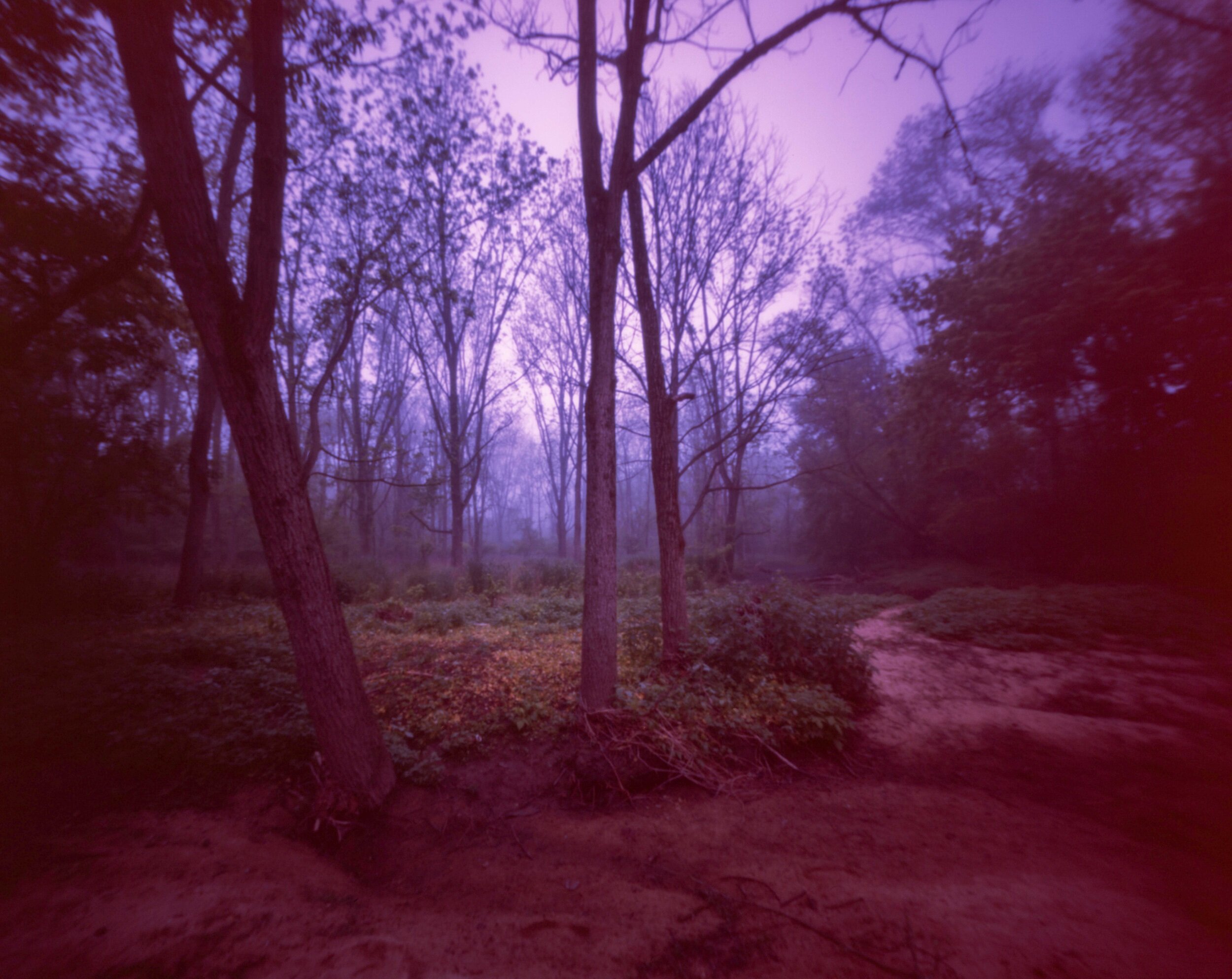 PA / Zero Image 4x5 / Provia100F Exp. '10 / 5.24.20