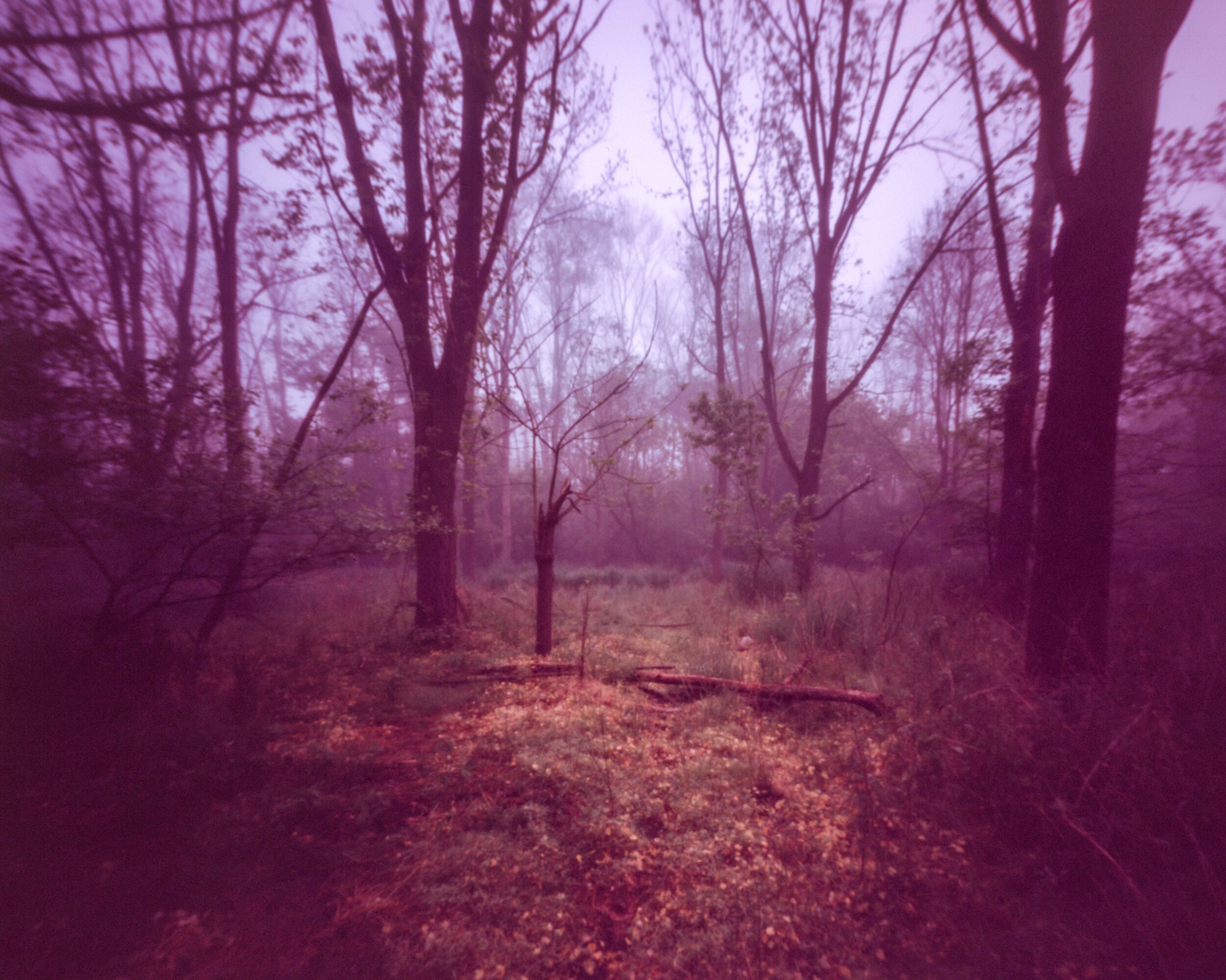 PA / Zero Image 4x5 / Velvia50 Exp. '10 / 5.26.20