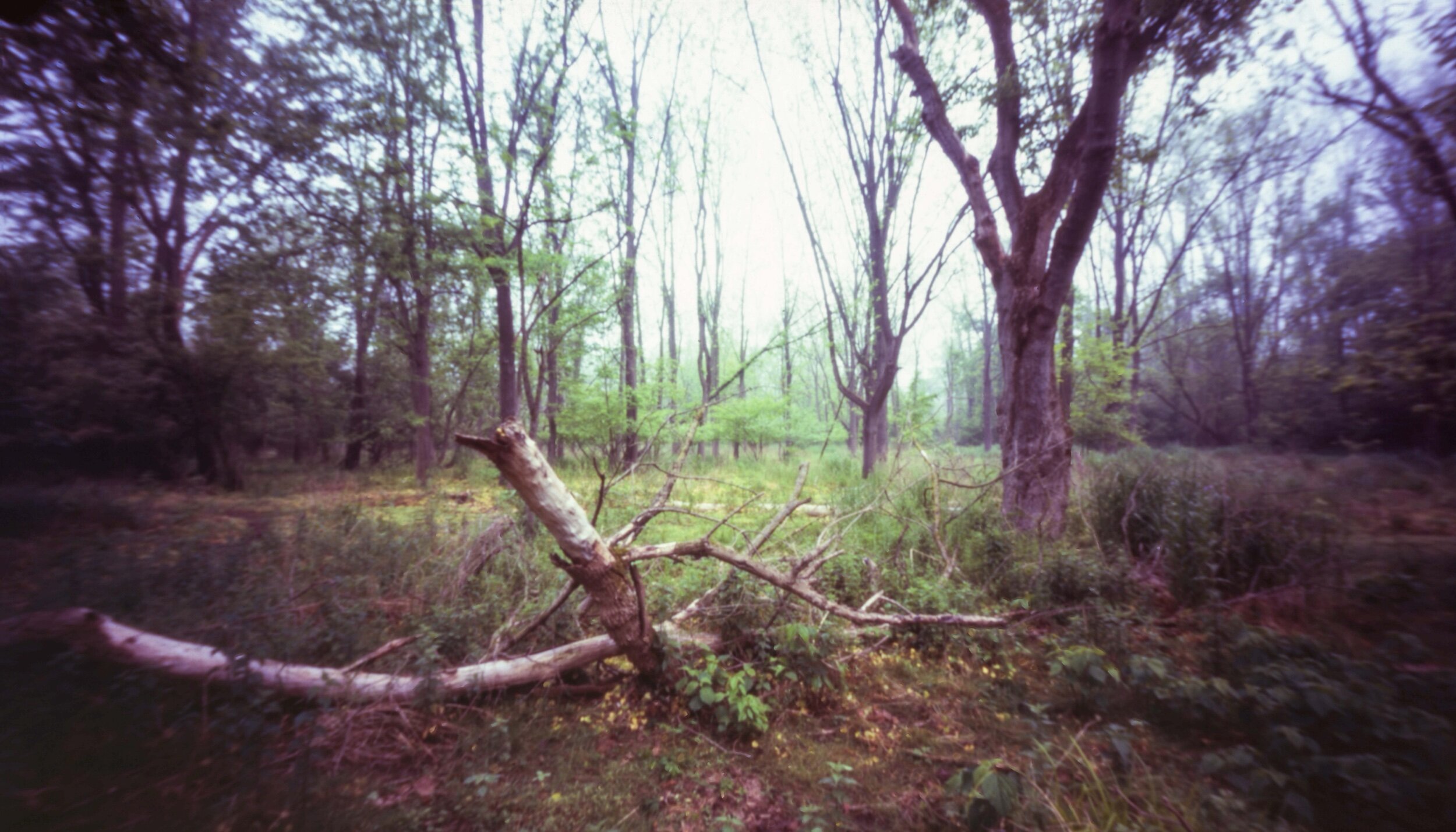 PA / Zero Image 6x9 / Velvia100 Exp. '13 / 5.24.20