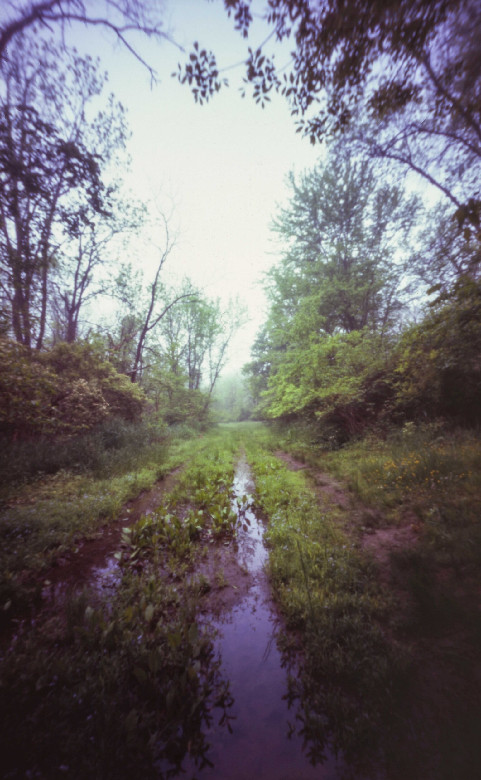 PA / Zero Image 6x9 / Velvia100 Exp. '13 / 5.24.20