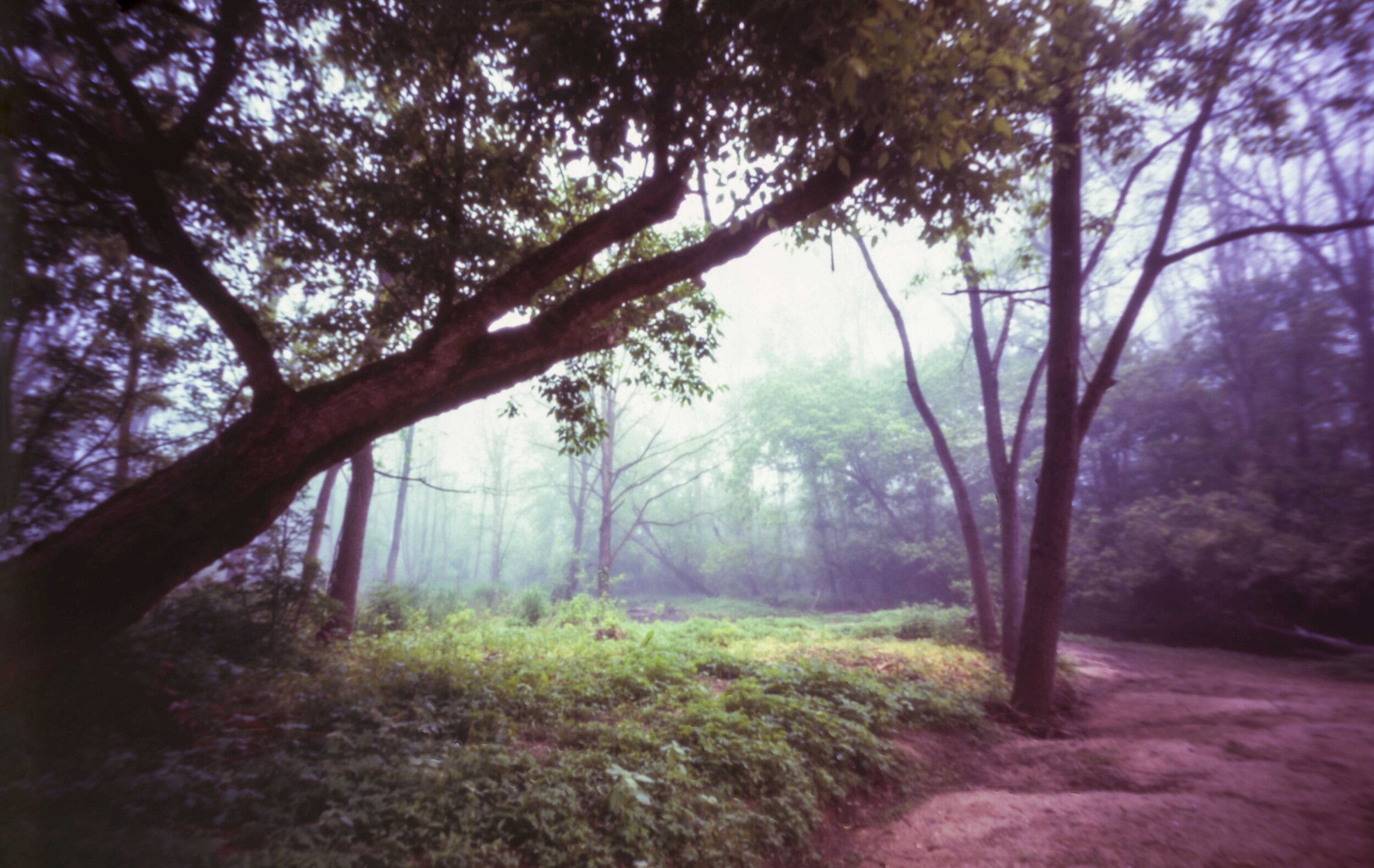 PA / Zero Image 6x9 / Velvia100 Exp. '13 / 5.24.20