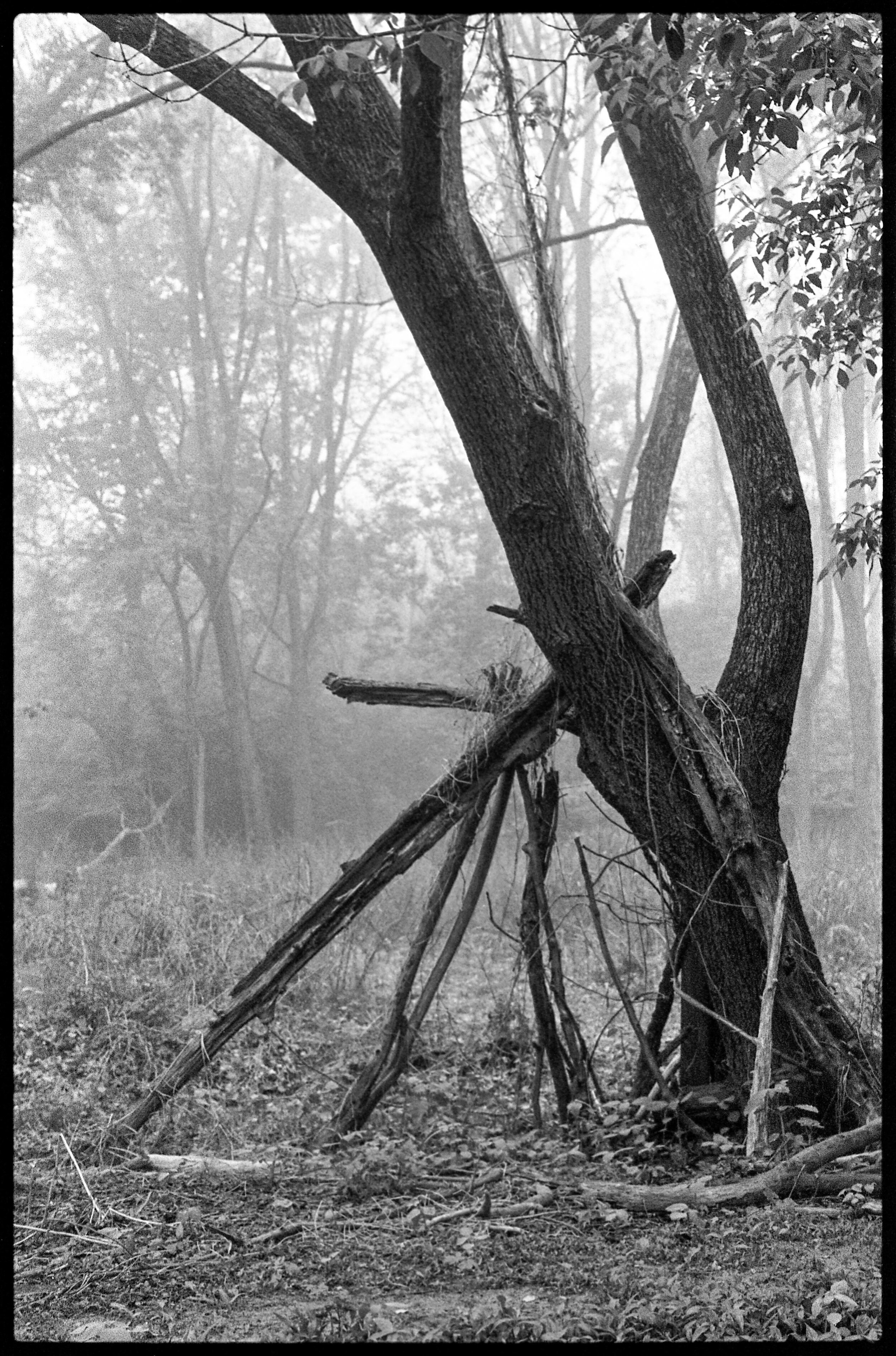 PA / Nikon F / Trix400 / 5.26.20