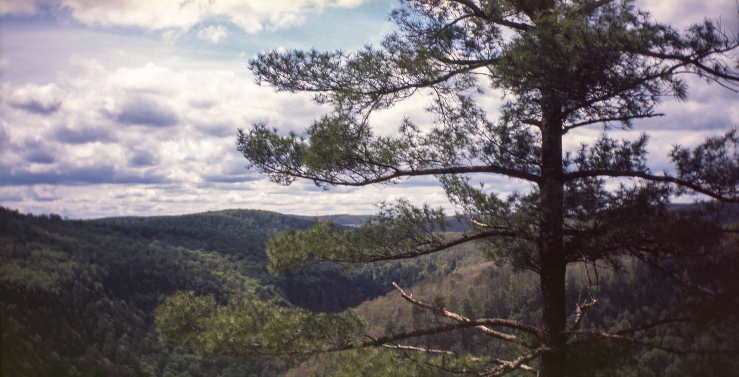 PA / Brownie 2A / Provia100F / 5.24.20