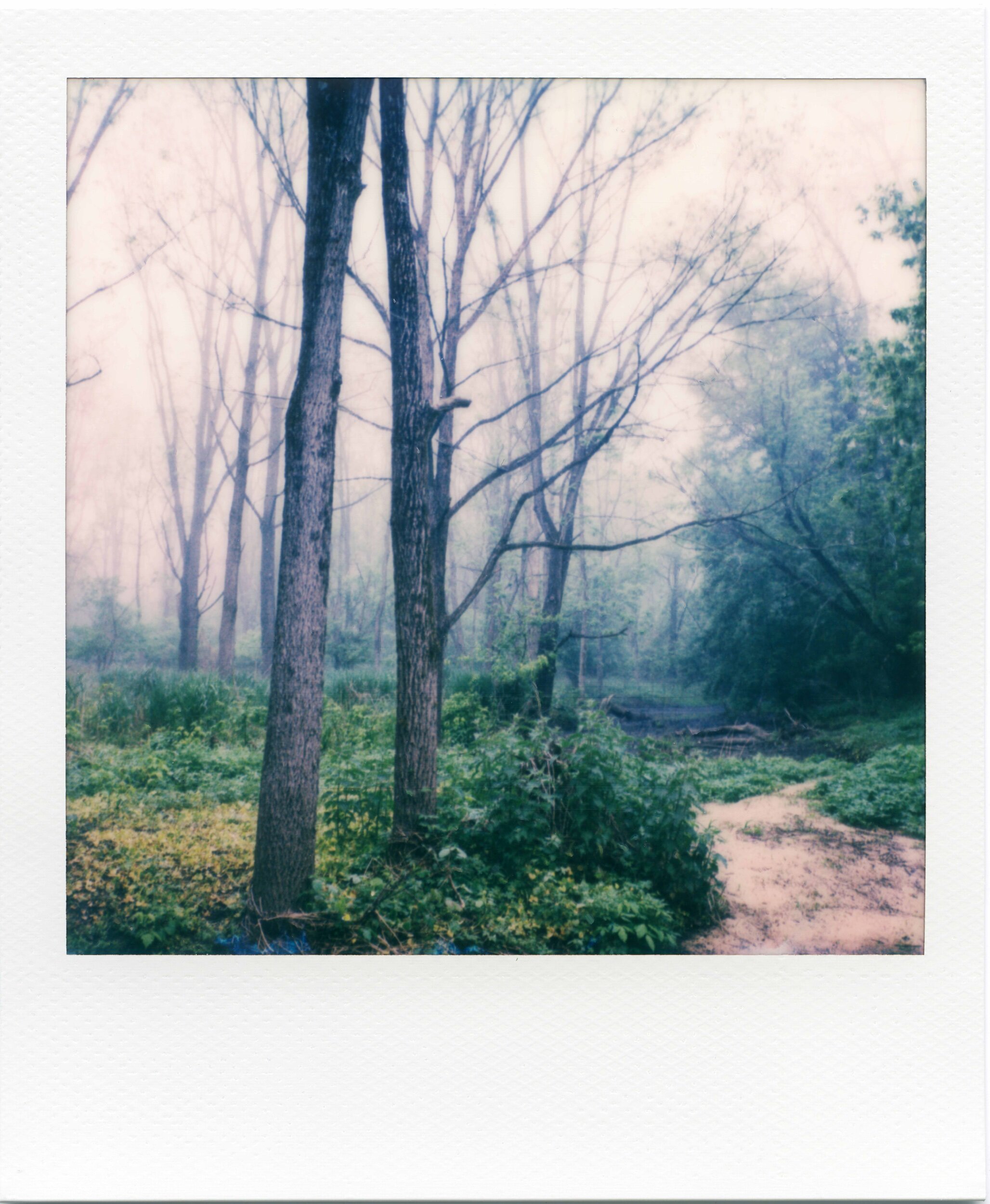PA / 5.20