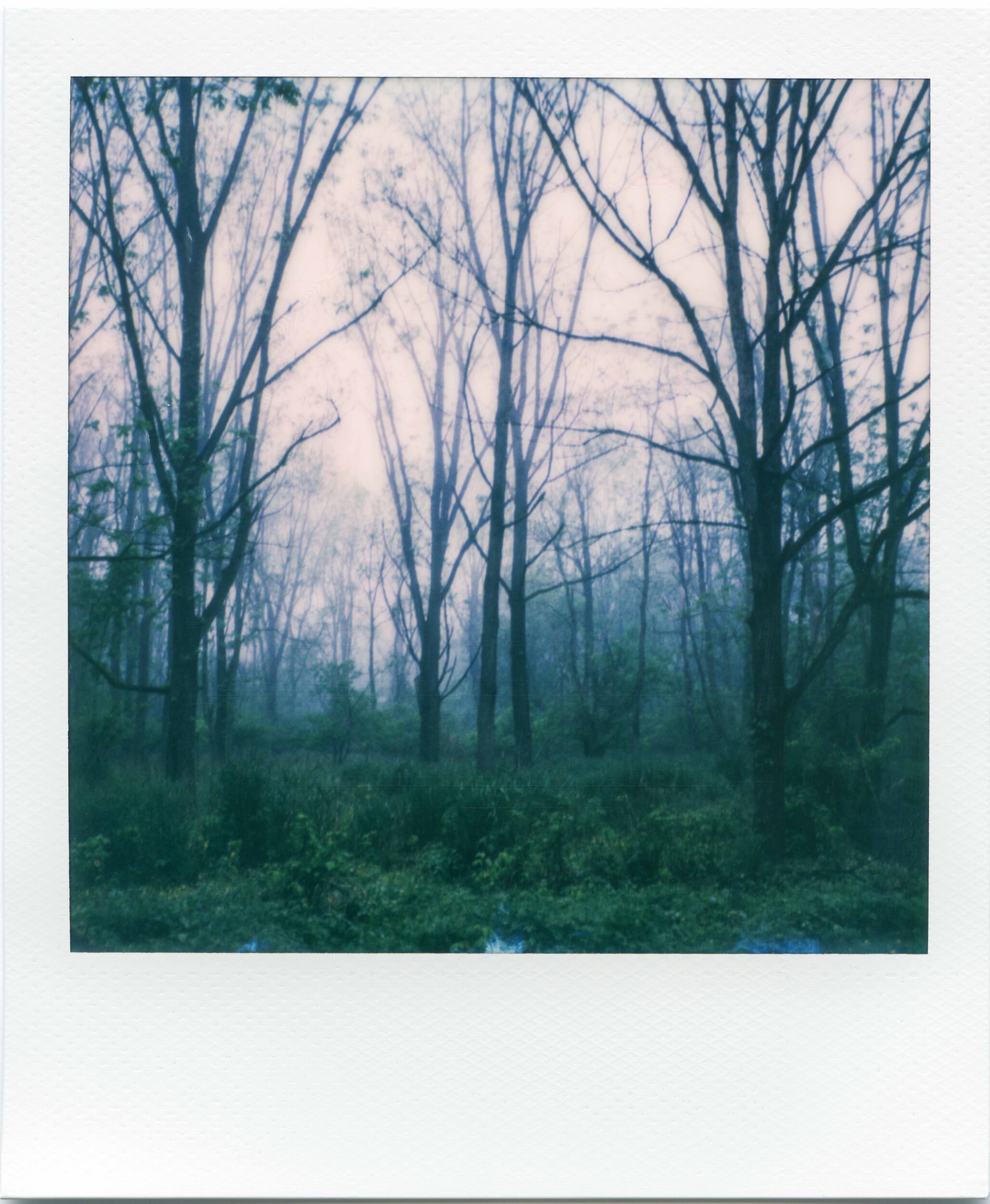 PA / 5.20