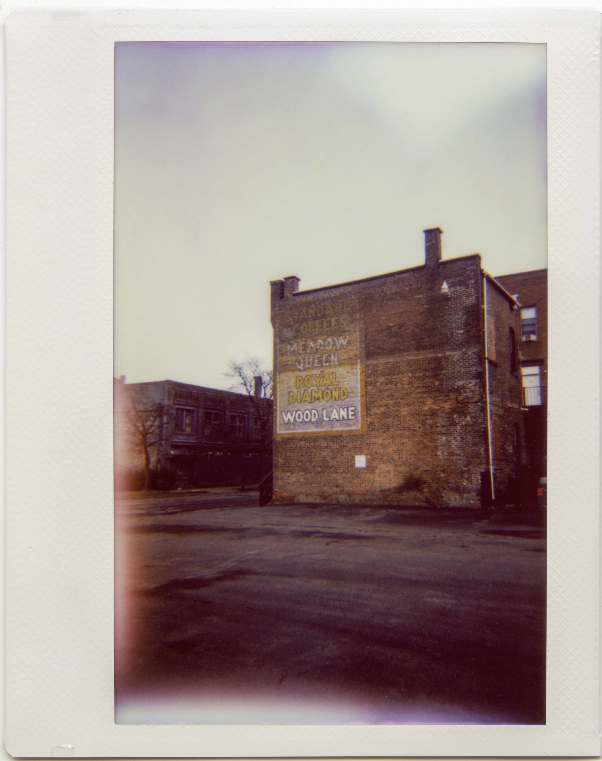 NY / 12.19