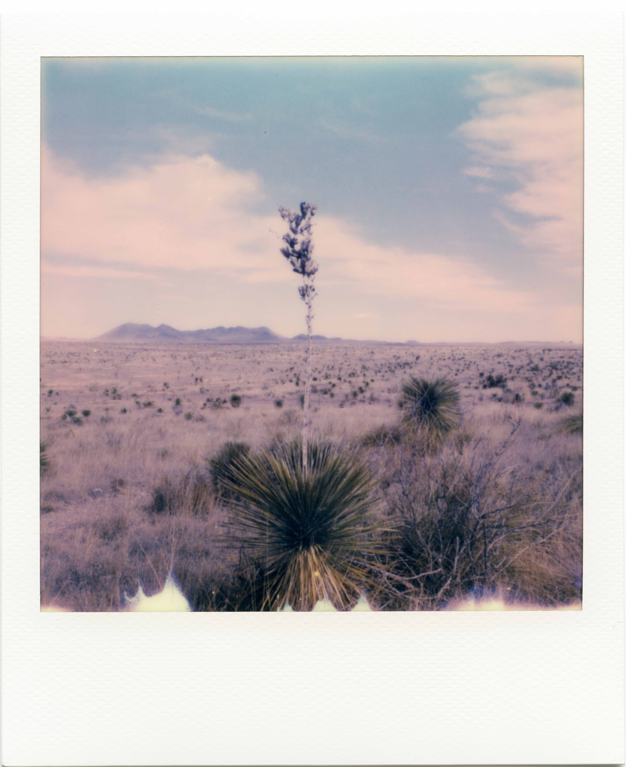 Marfa, TX / 1.20