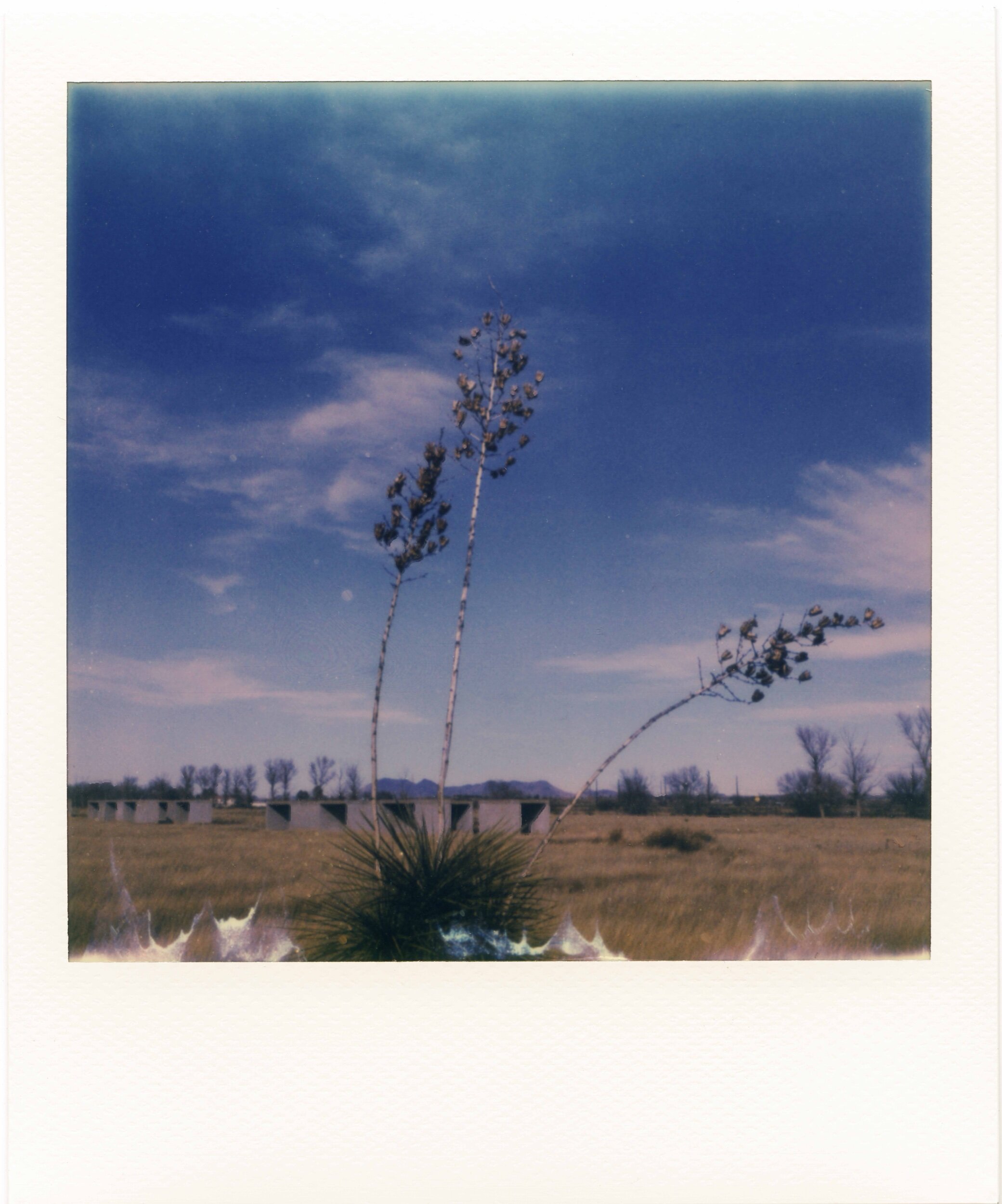 Marfa, TX / 1.20
