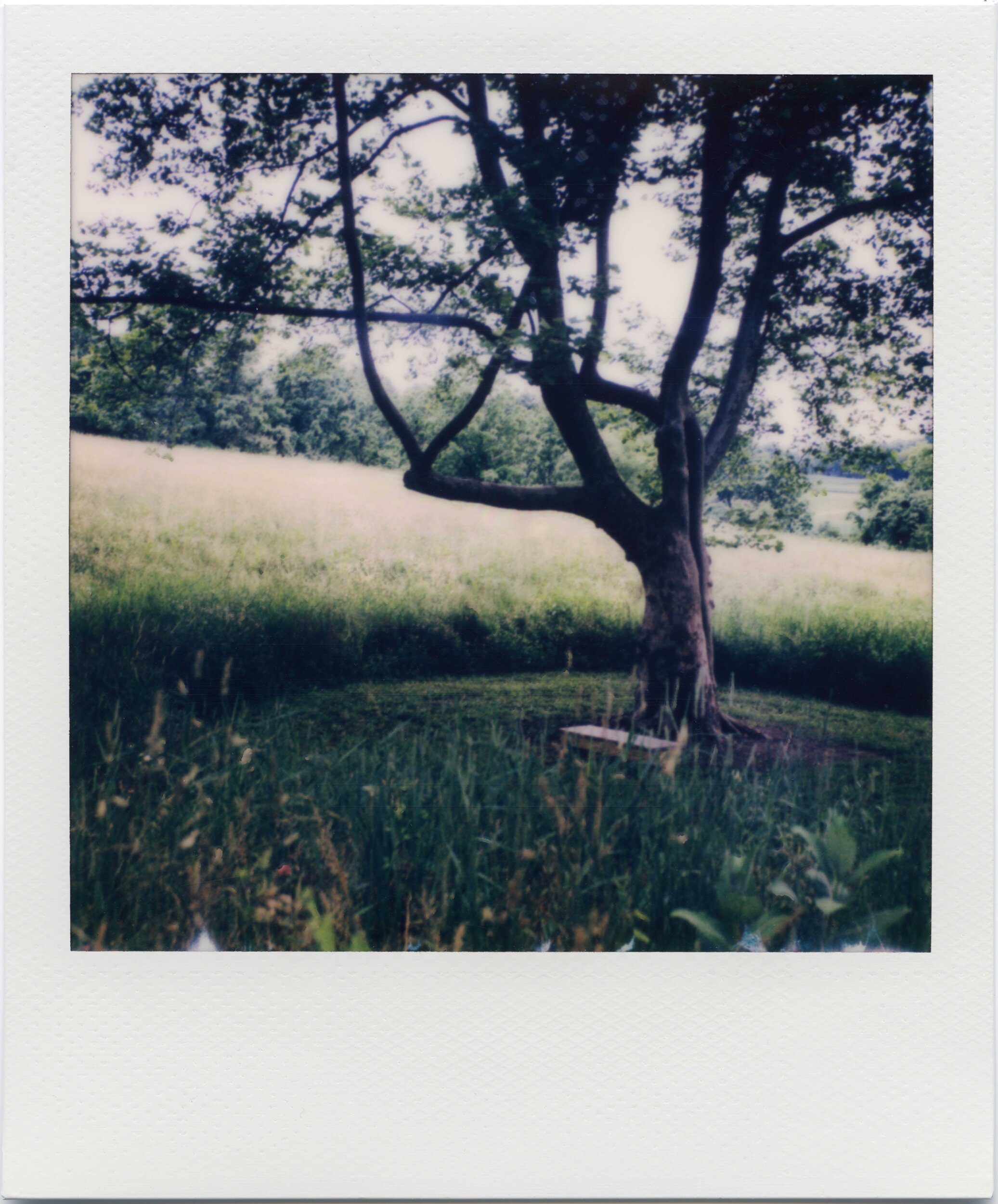 PA / 6.20