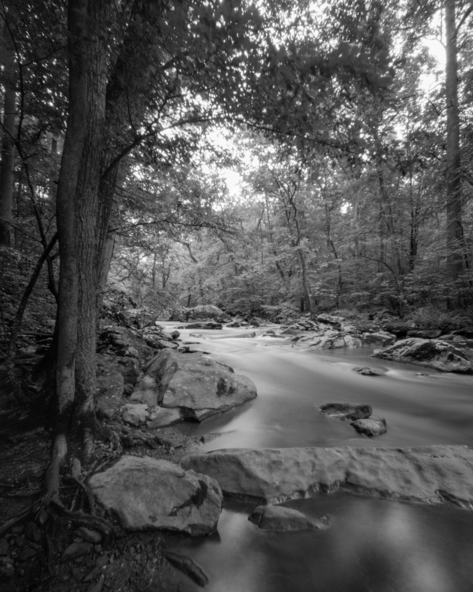 PA / Ondu Giant 8x10 / HP5+ / 7.7.20
