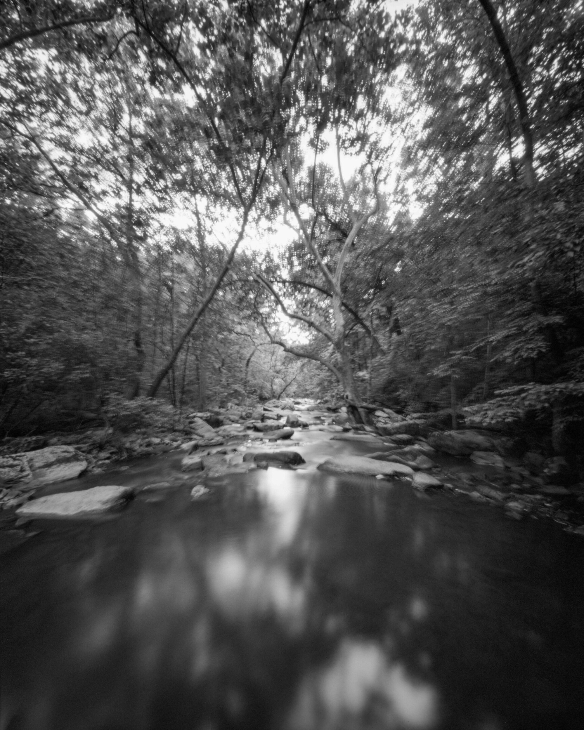PA / Ondu Giant 8x10 / HP5+ / 7.21.20