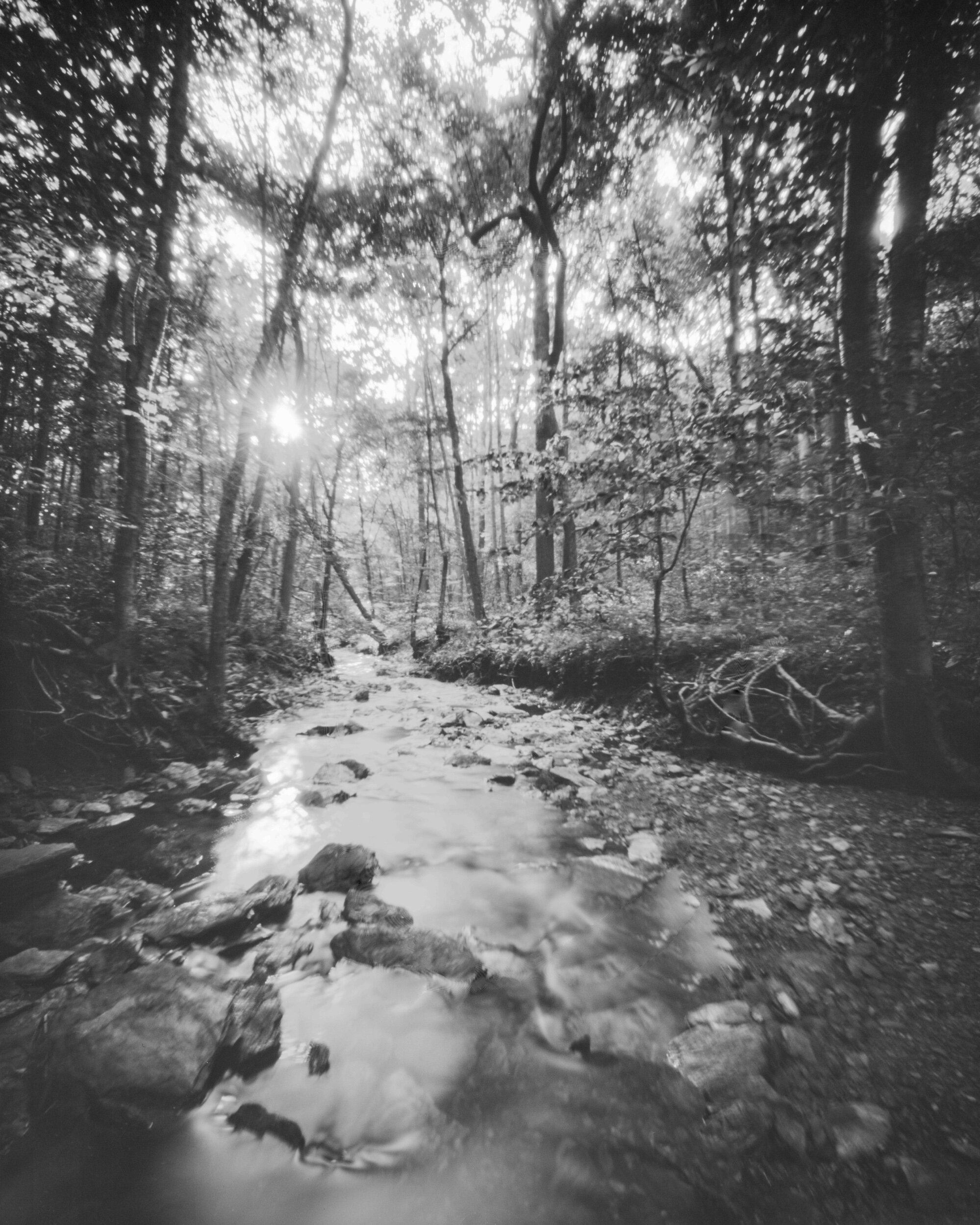 PA / Ondu Giant 8x10 / FP4 / 8.5.20