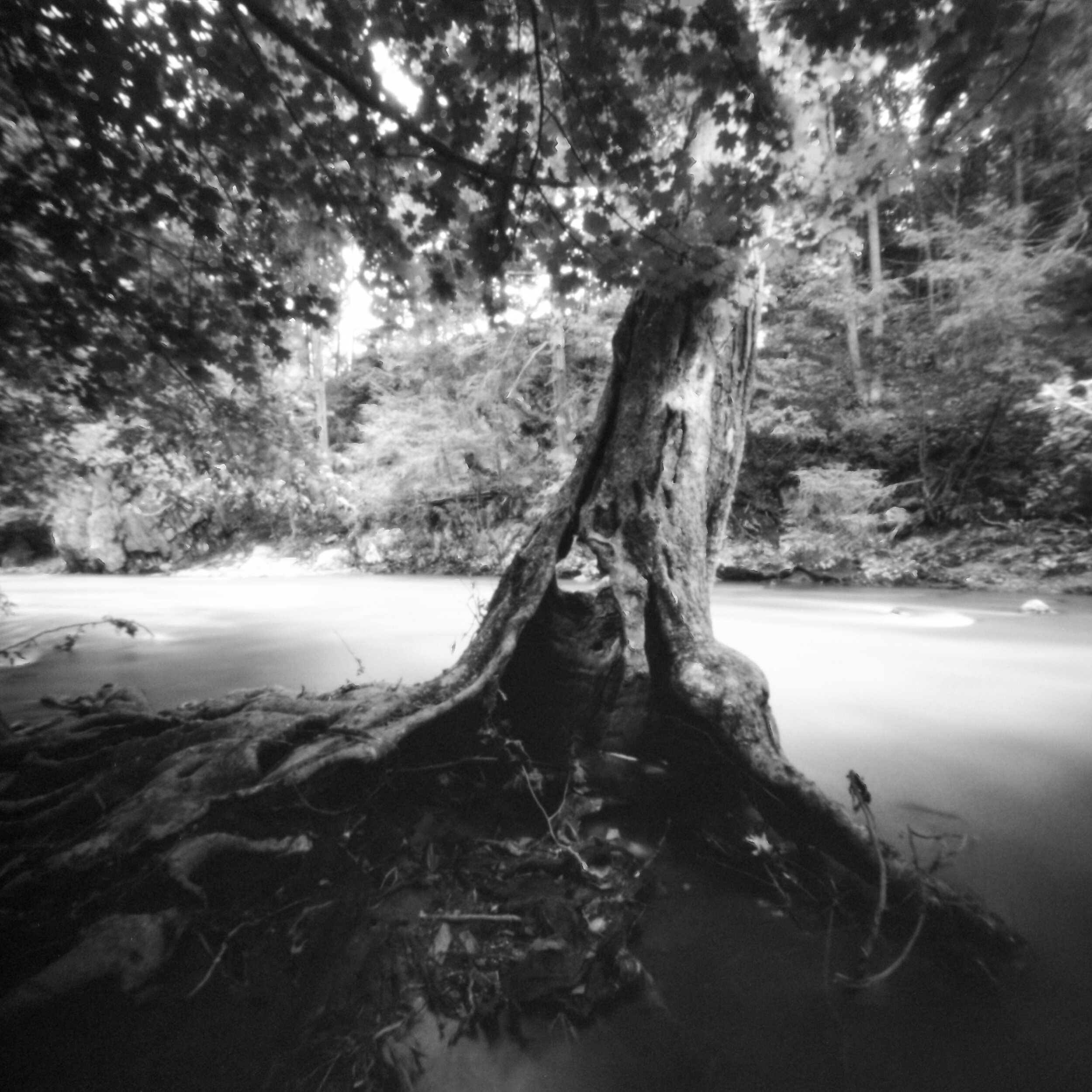 PA / Zero Image 6x6 / Tmax100 exp. '05 / 8.6.20