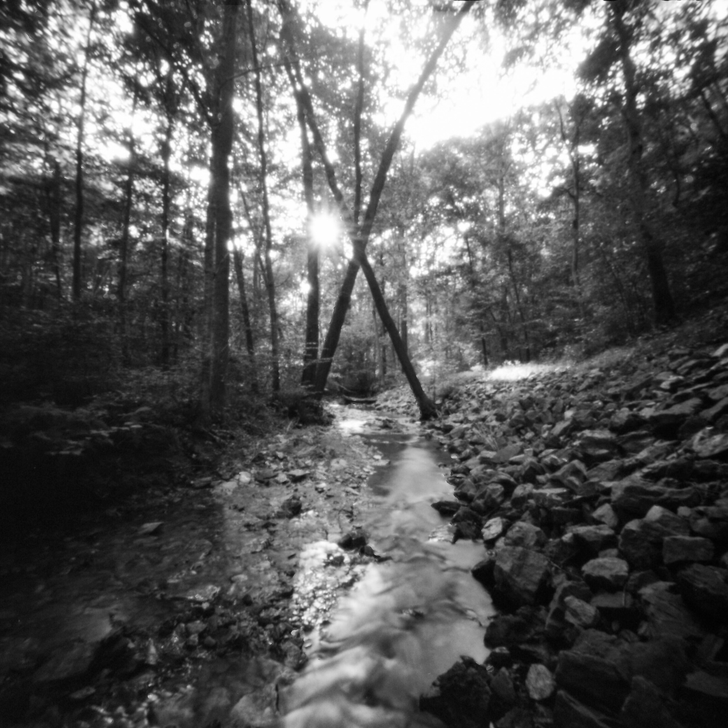 PA / Zero Image 6x6 / Tmax100 exp. '05 / 8.6.20