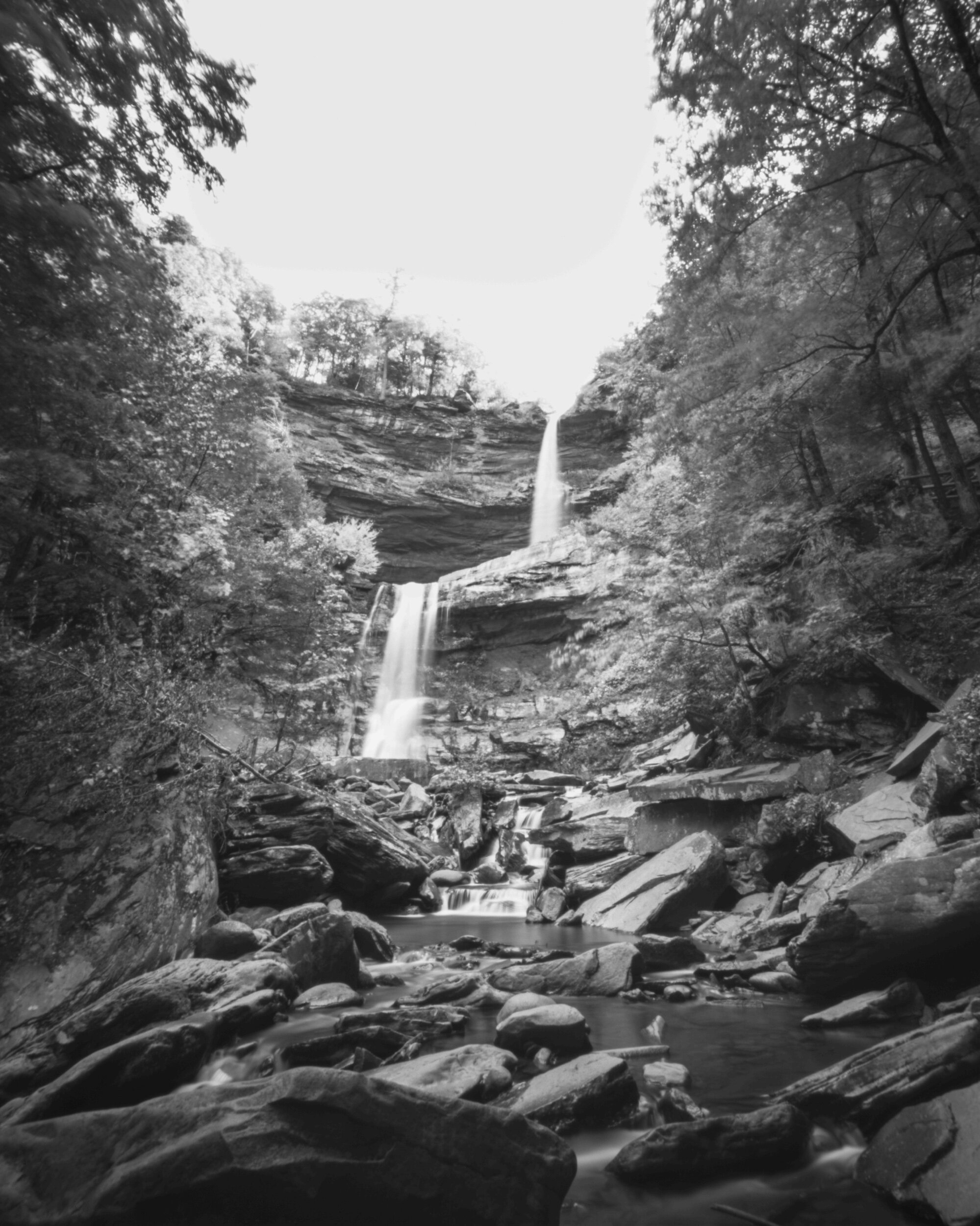 NY / Ondu Giant 8x10 / FP4 / 10.12.20