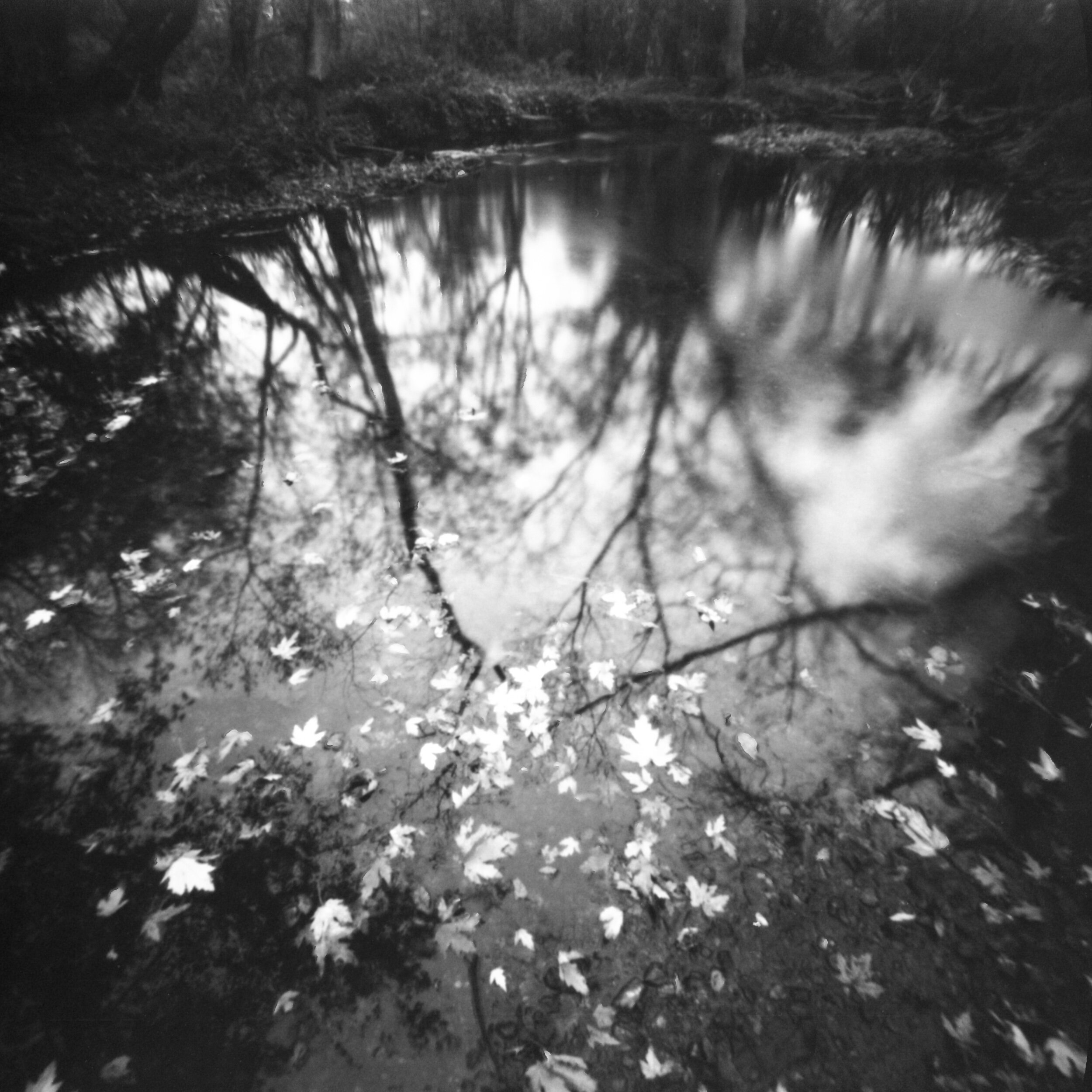 PA / Zero Image 6x6 / Tmax 100 exp / 11.1.20