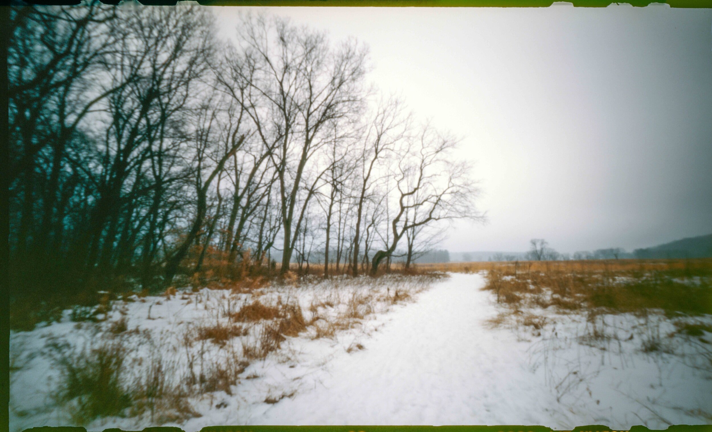 PA / Zero Image 6x9 / Ektachrome 100 Plus, exp. '00 / 12.21.20