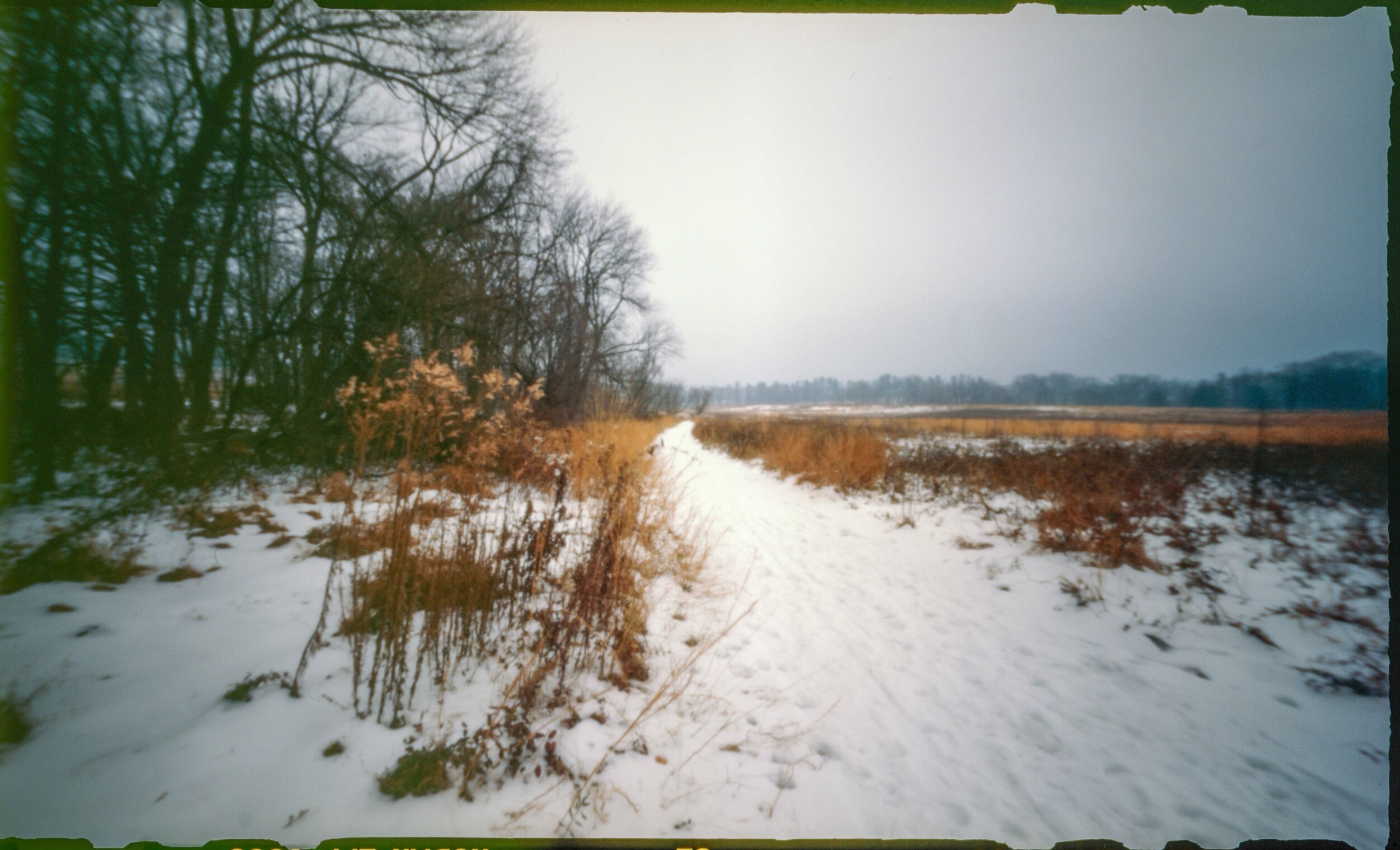 PA / Zero Image 6x9 / Ektachrome 100 Plus, exp. '00 / 12.21.20