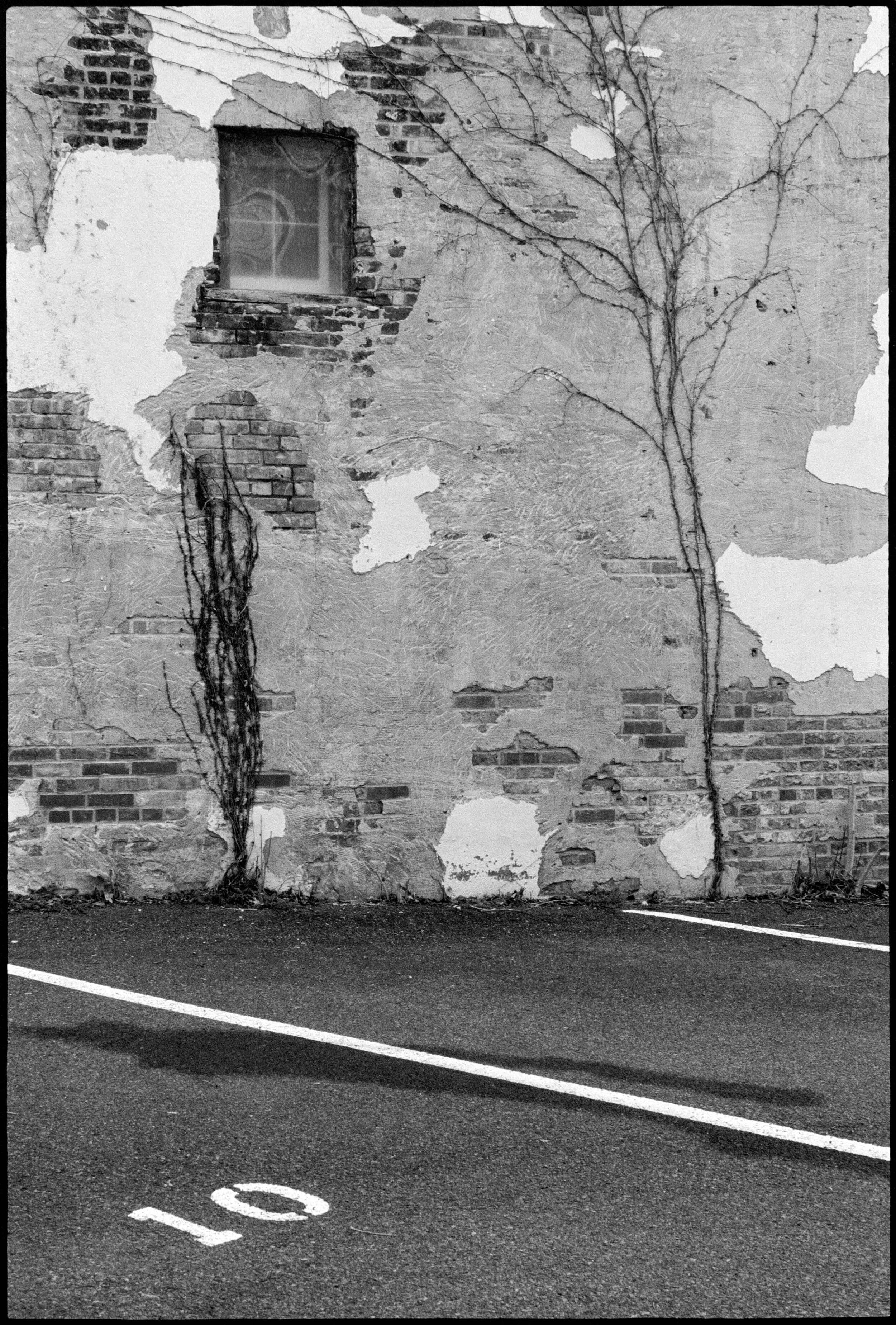 NY / Nikon F / FP4+ / 12.30.20