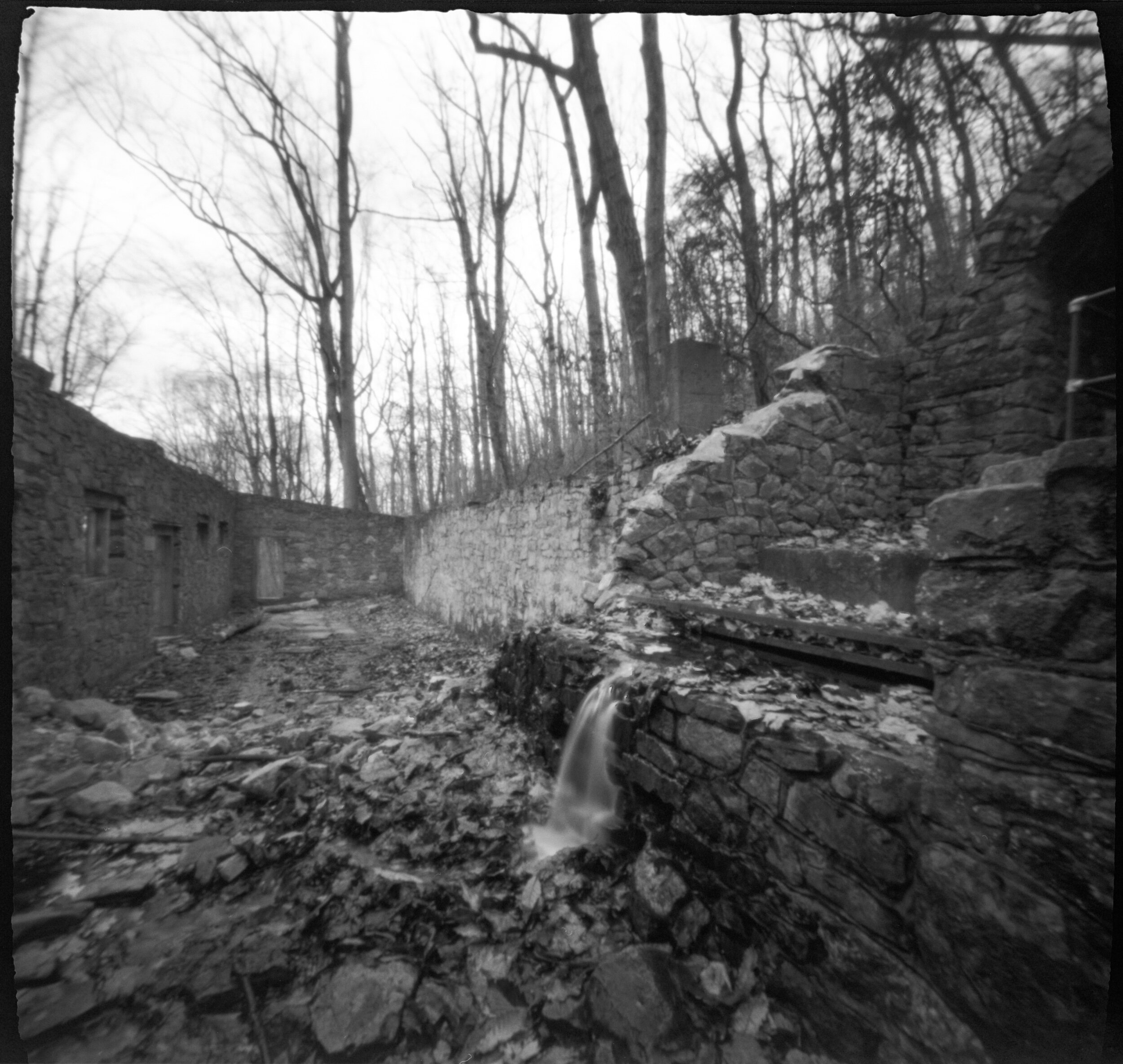 PA / Zero Image 6x6 / Tmax 100 exp / 1.13.21