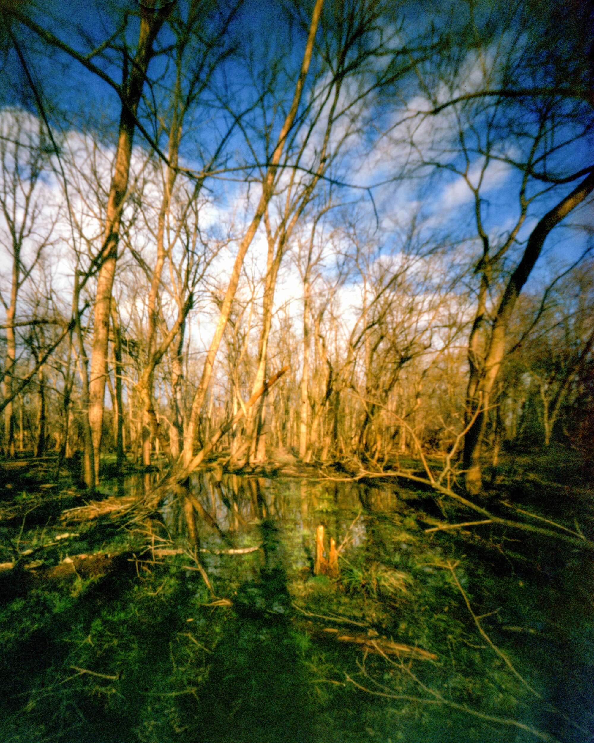 PA / Ondu Easy 4x5 / Provia100F exp. / 1.18.21