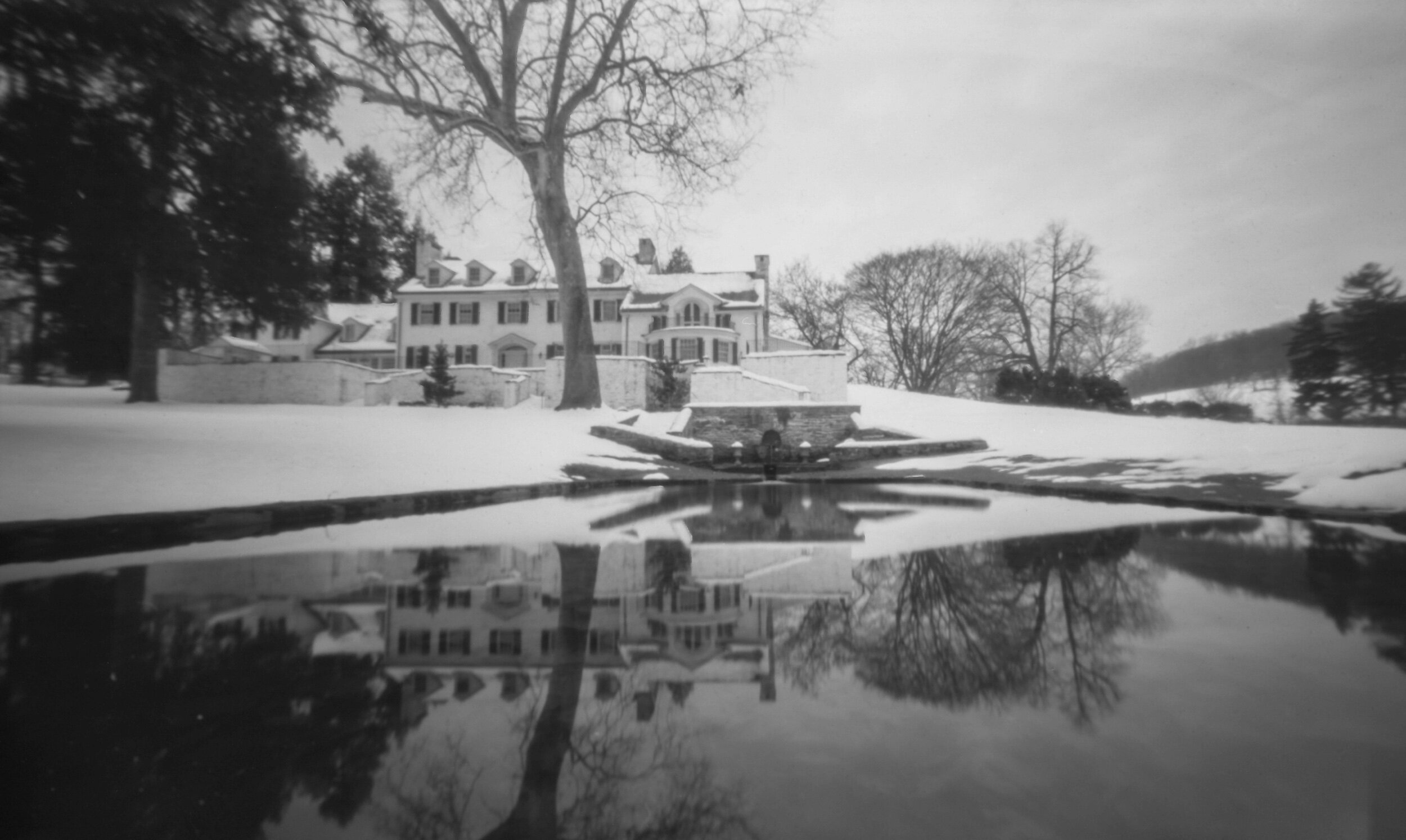 PA / Zero Image 6x9 / Tmax100 Exp. / 1.14.21