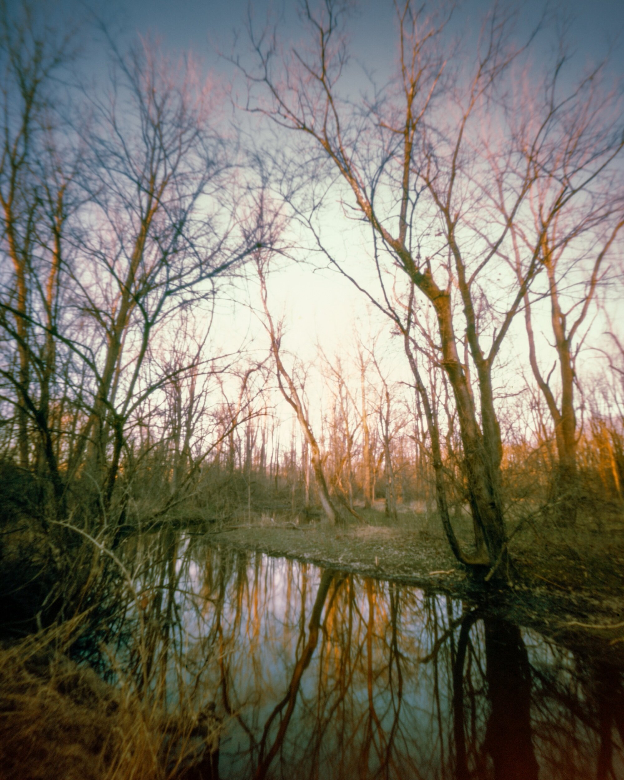 PA / Zero Image 4x5 / Velvia100 exp. /3.14.21