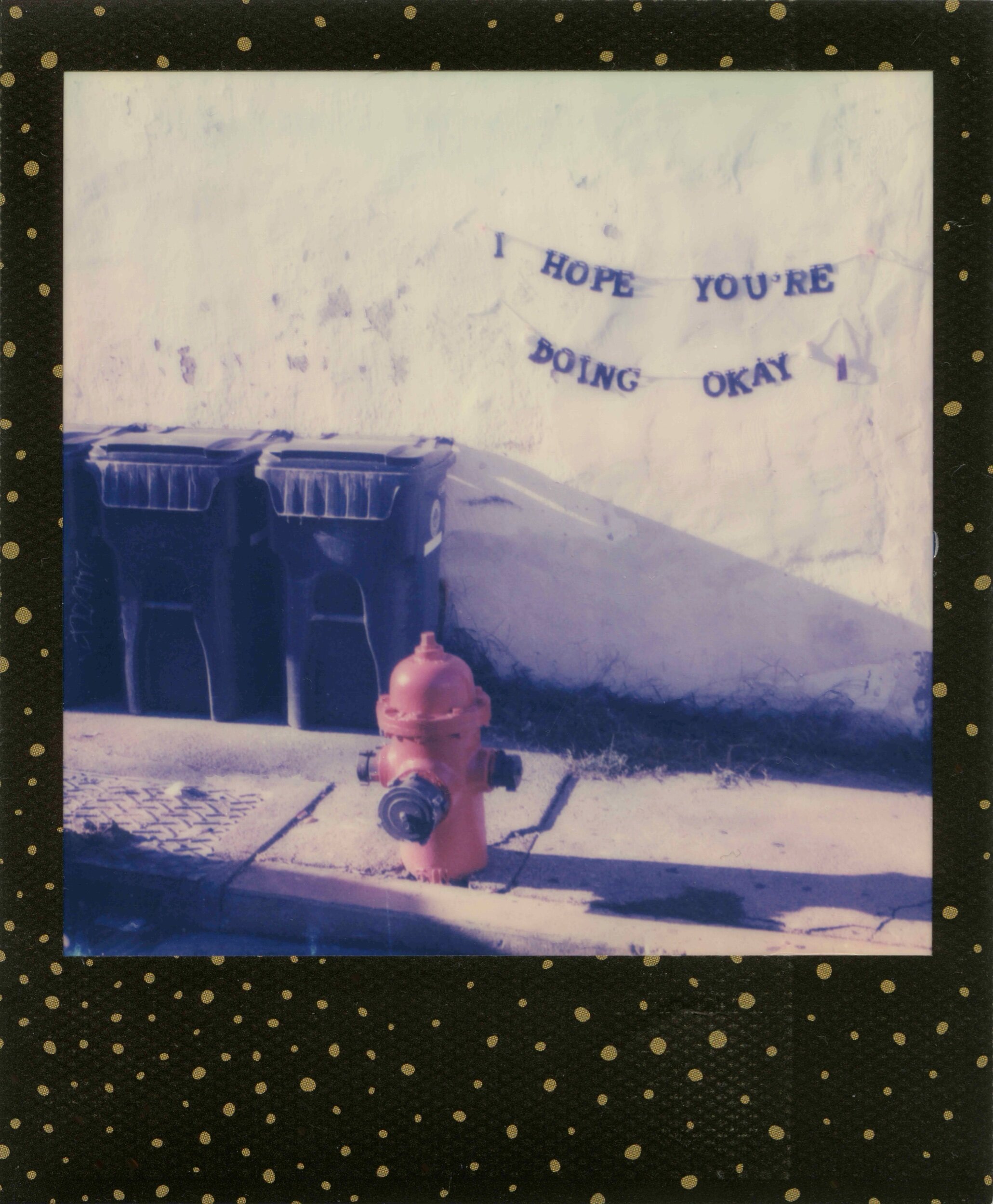 instaxmini035 copy.jpeg
