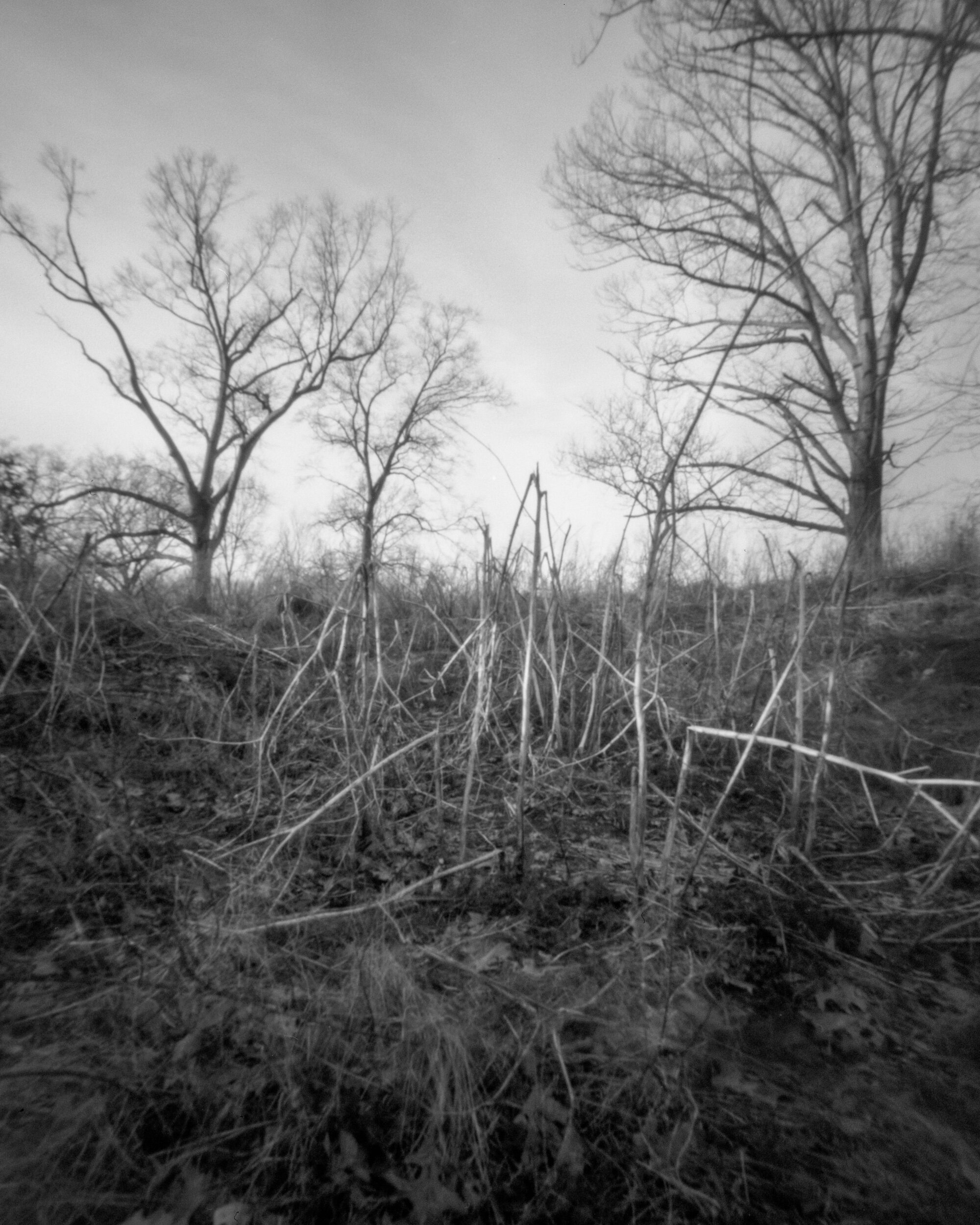 PA / Zero Image 4x5 / FP4+ Exp. / 3.30.21