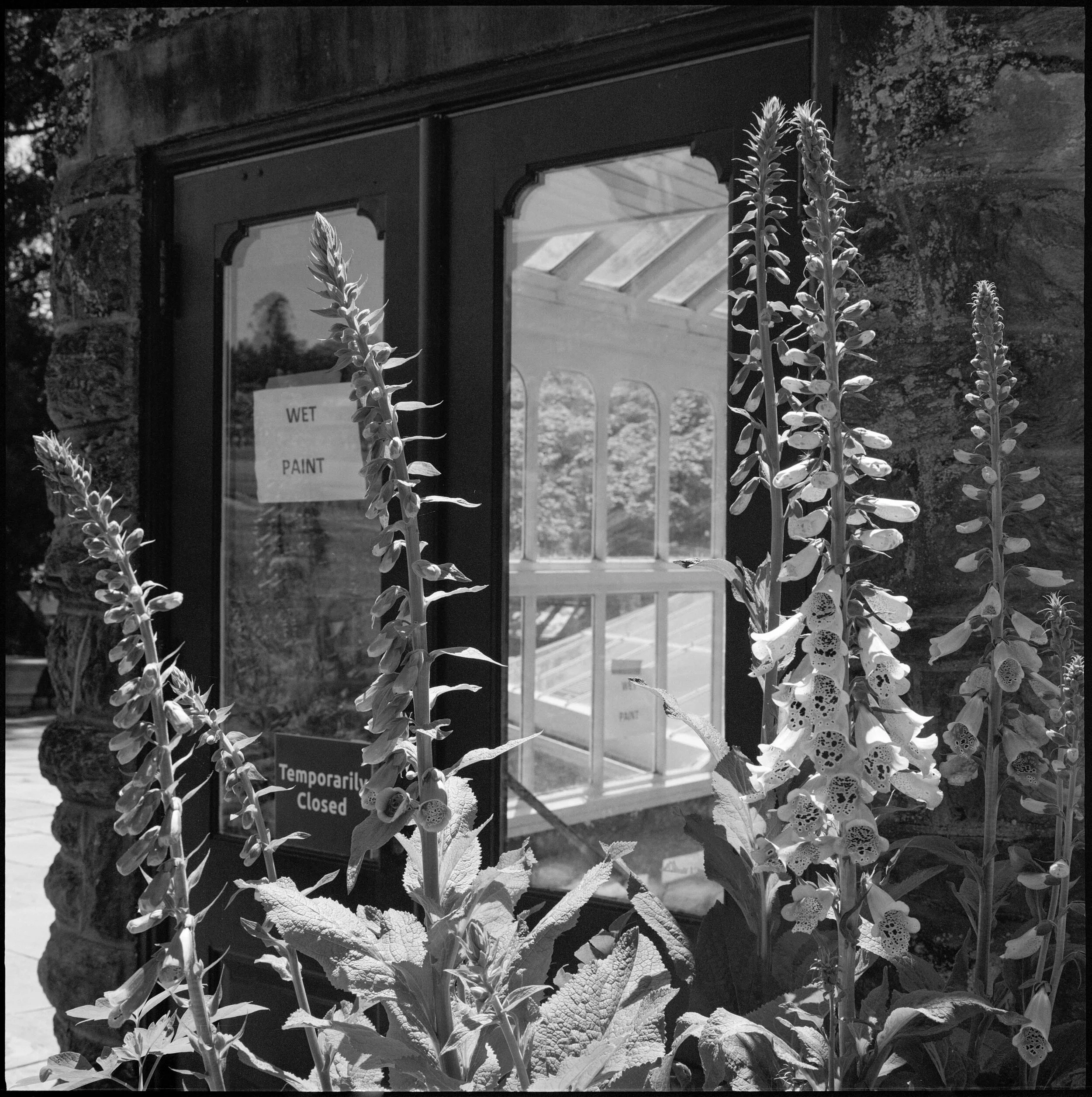 PA / Mamiya 6 / HP5+ / 5.6.21