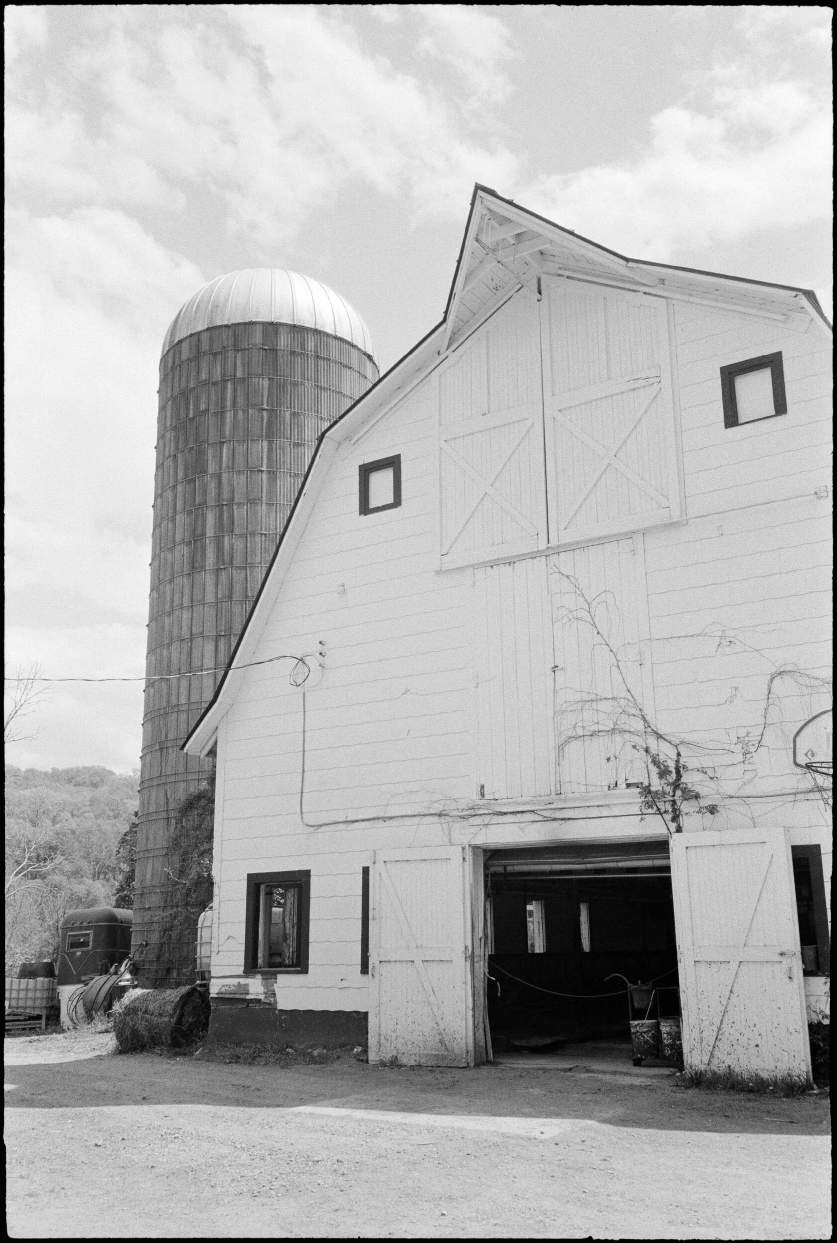 NY / Mju2 / HP5+ / 5.15.21