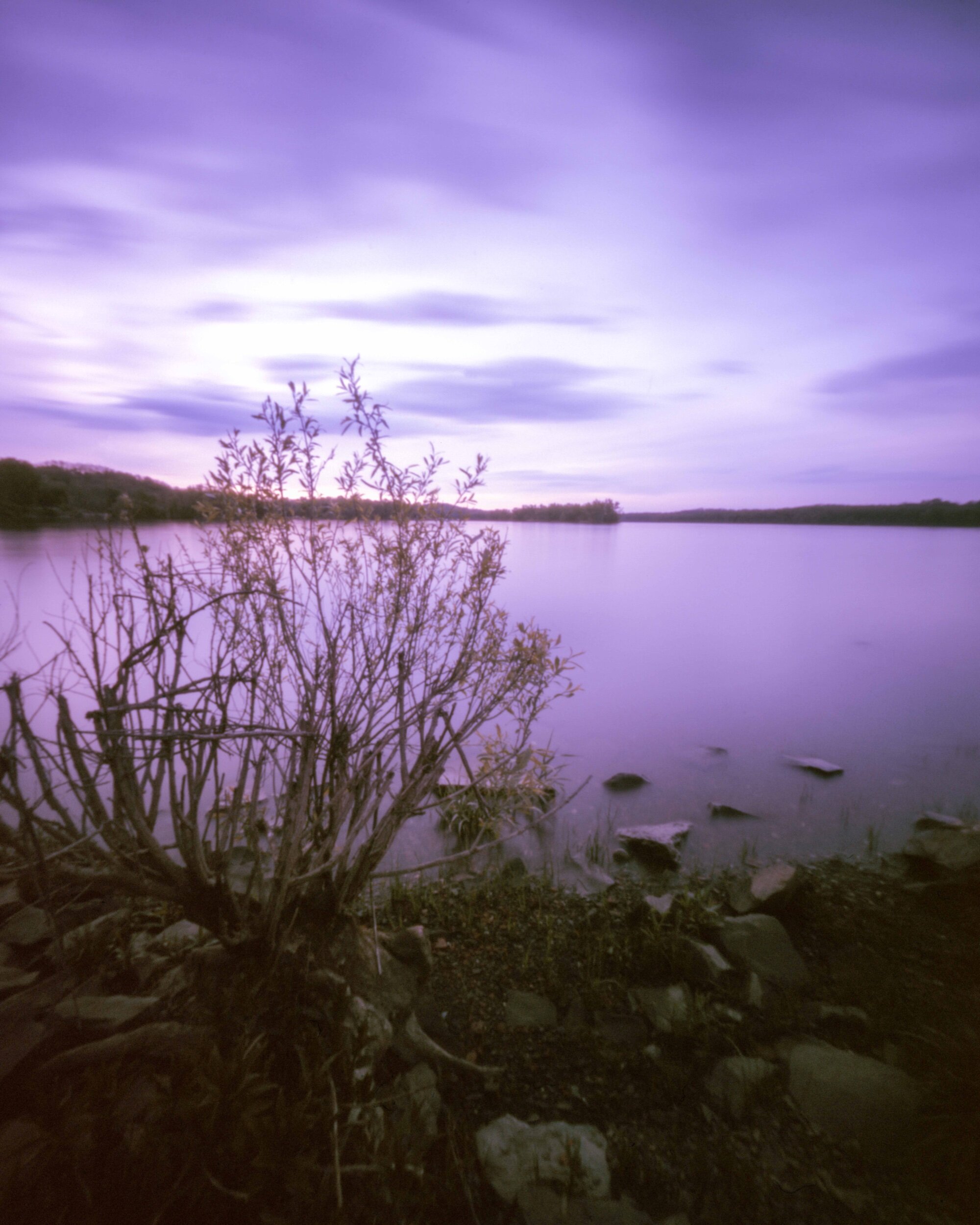 z5x6provia100f_01a.jpeg