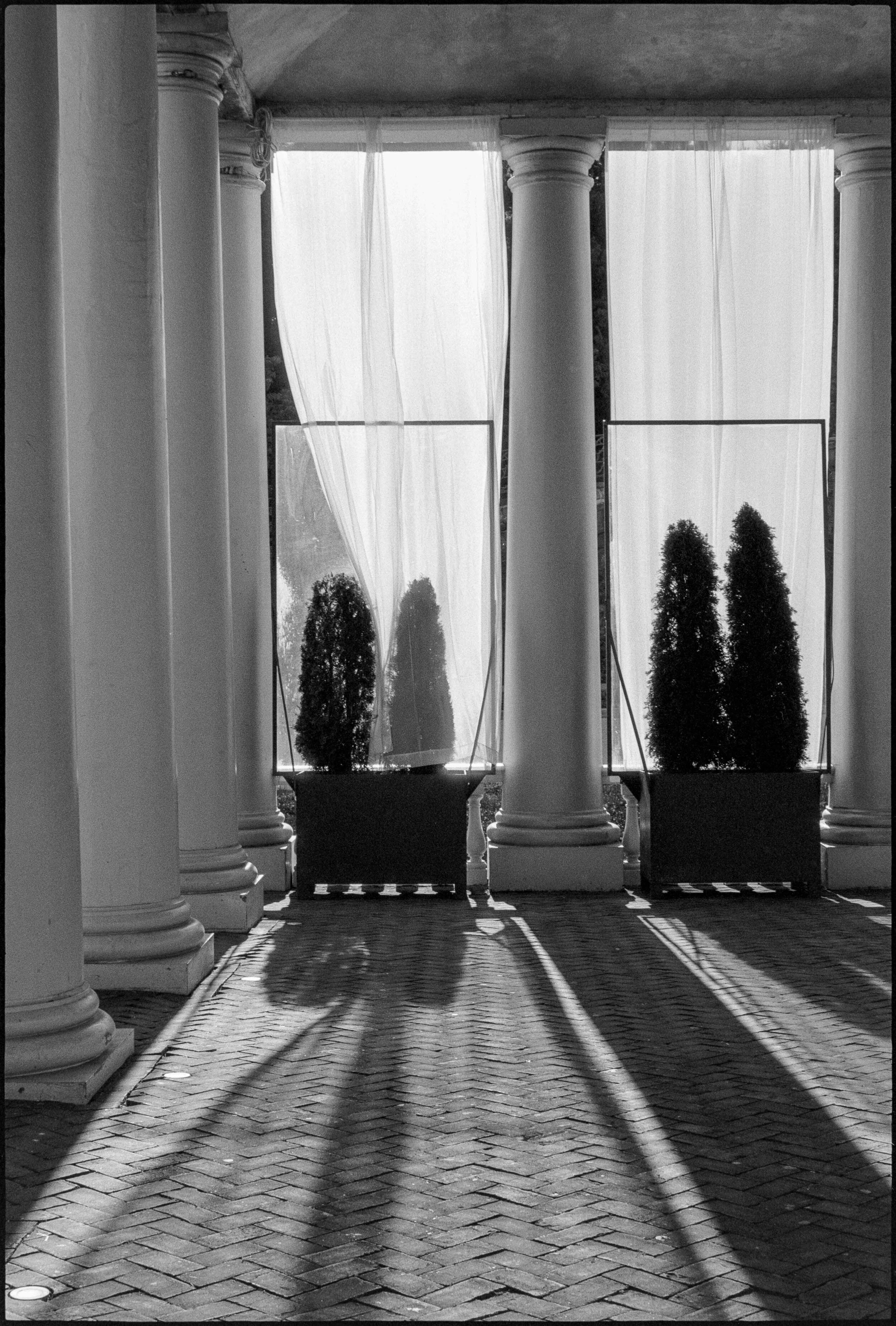 PA / Nikon F / FP4+ / 6.23.21
