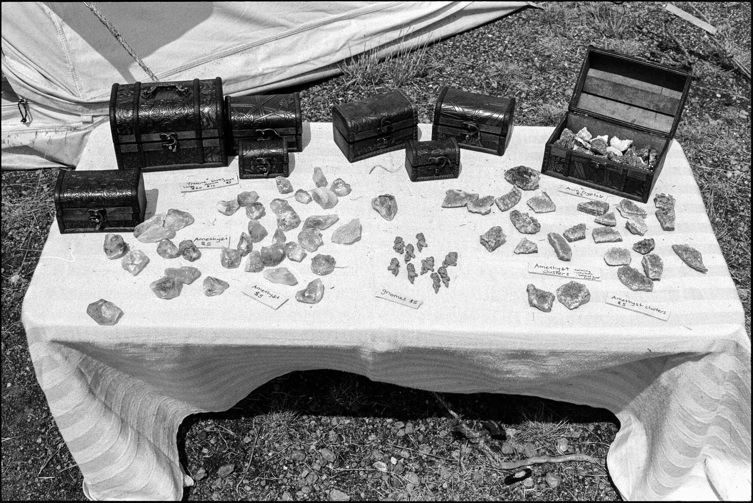 MT / G1 / FP4+ / 8.3.21