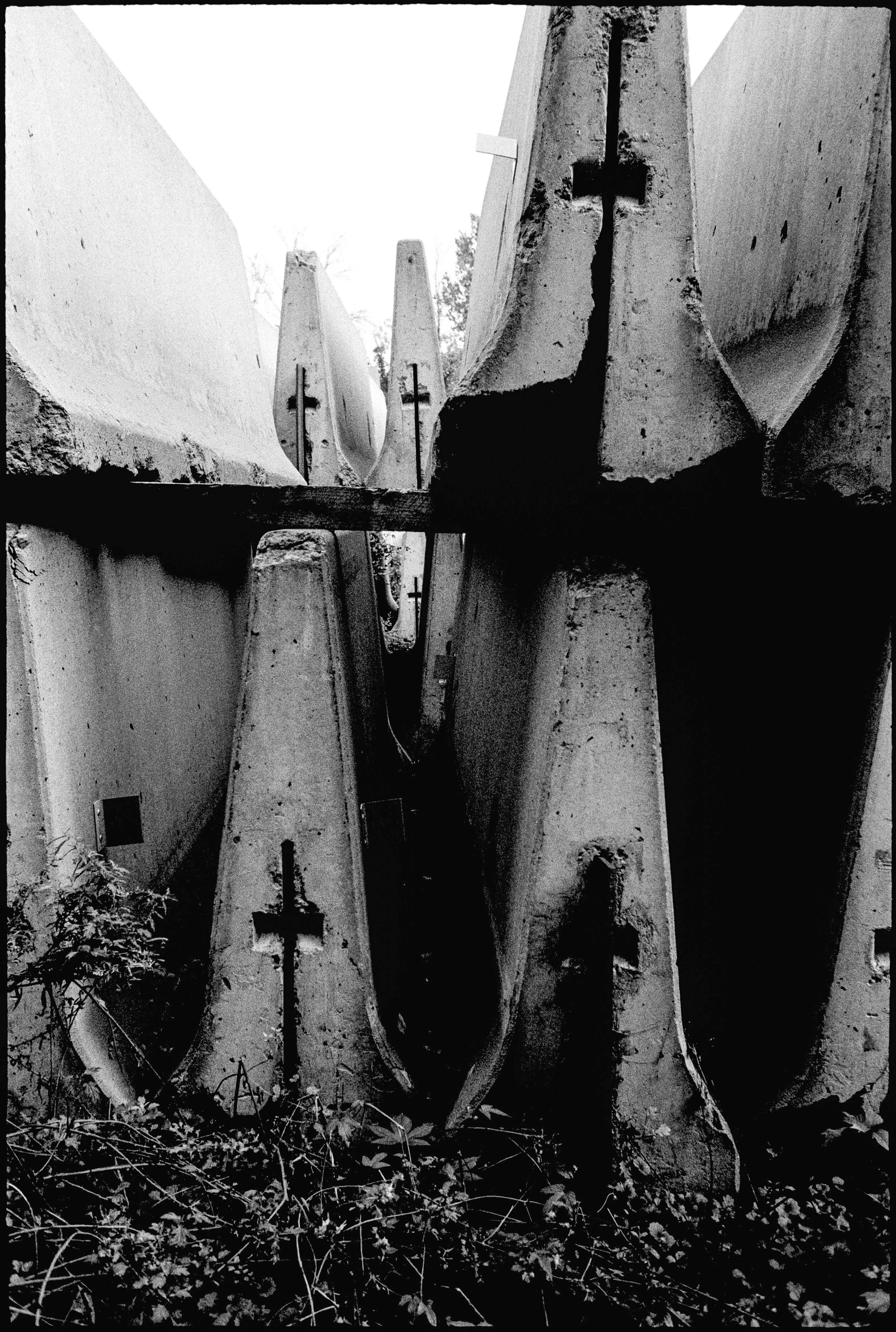PA / Mju2 / hp5 / 10.3.21