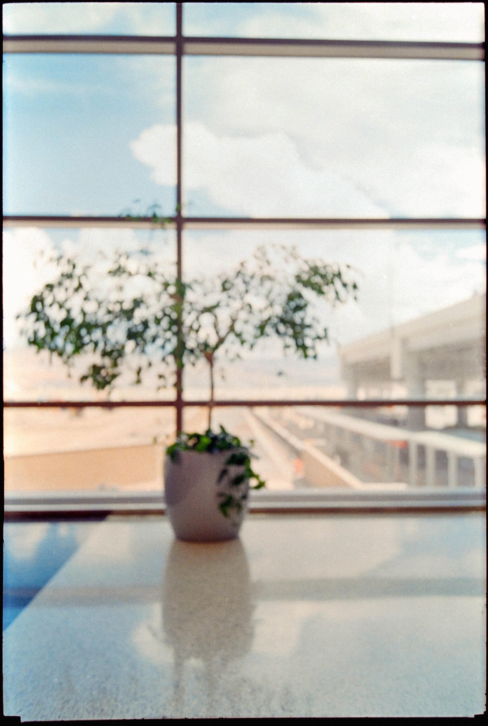 UT / Fuji Tiara / Kg400 / 7.31.21