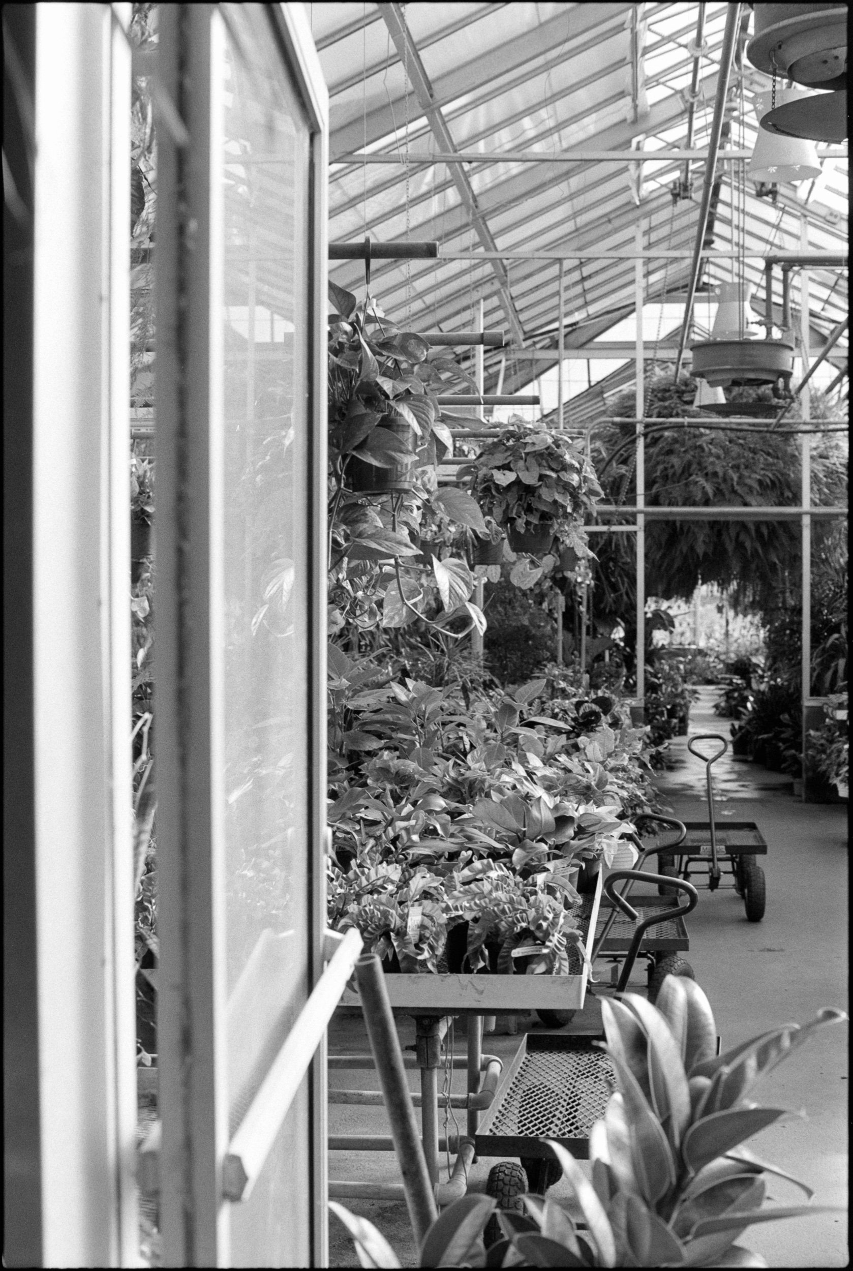 PA / Nikon F3 / Fp4+ / 2.11.22