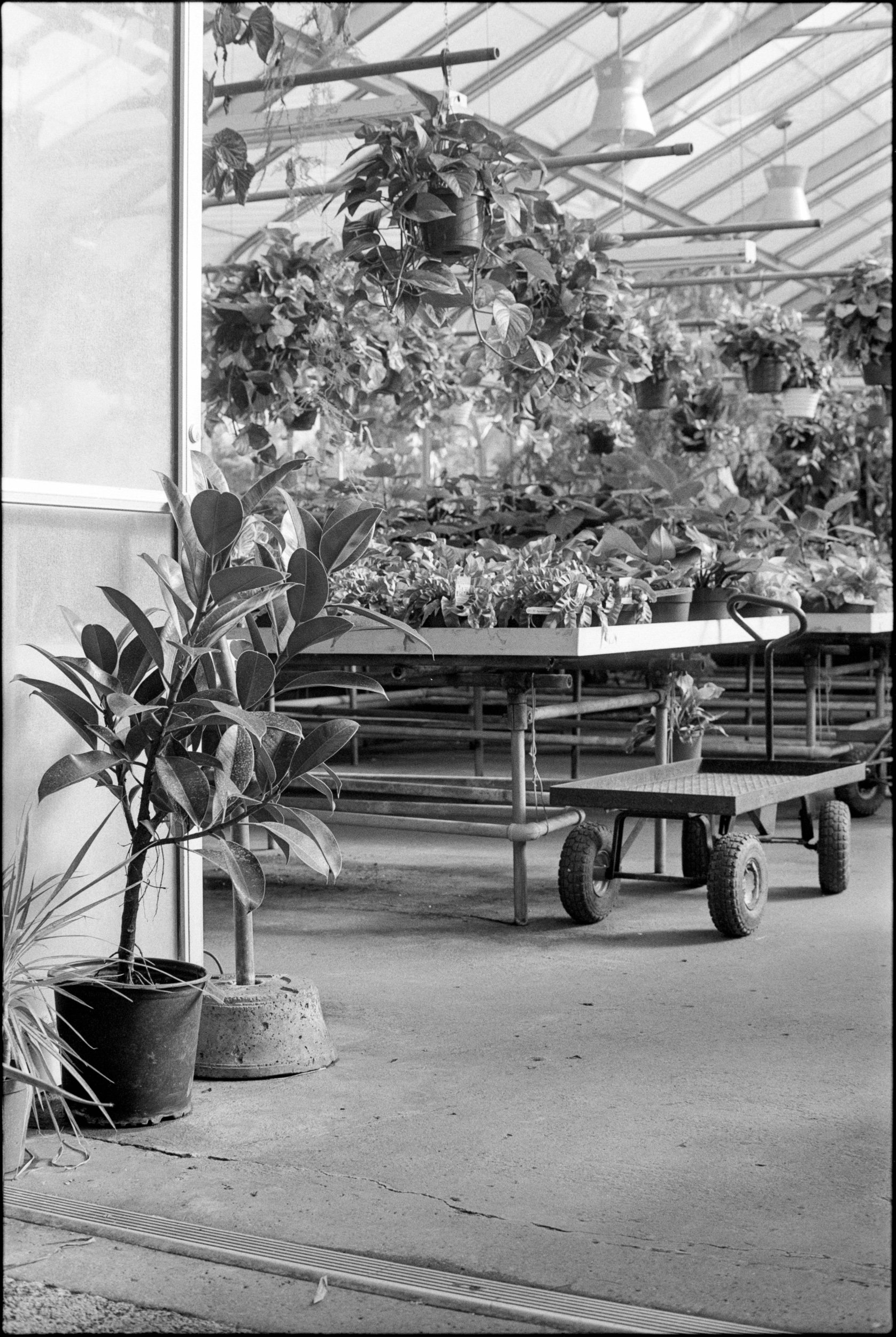 PA / Nikon F3 / Fp4+ / 2.11.22