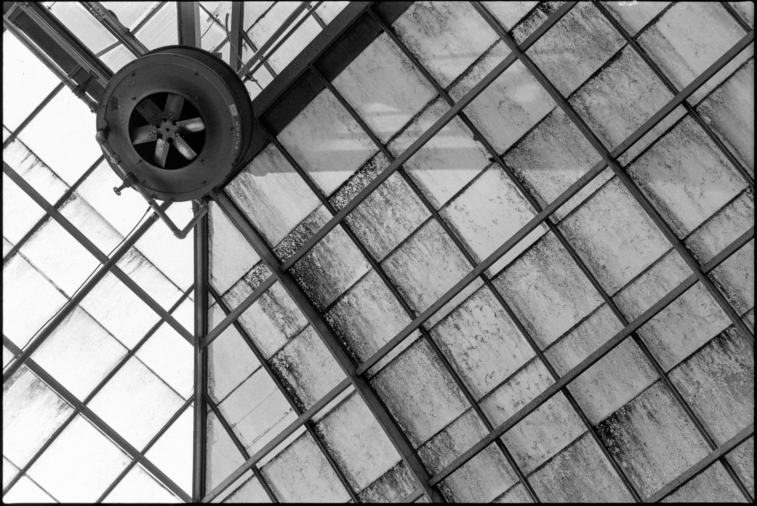 PA / Nikon F3 / Fp4+ / 2.11.22