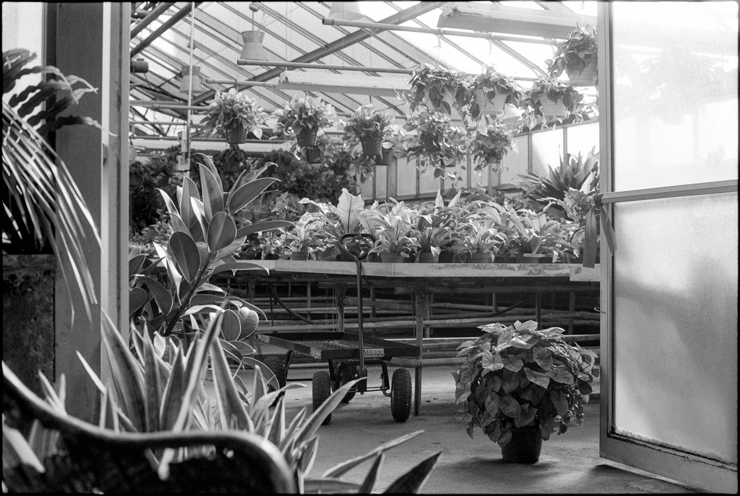 PA / Nikon F3 / Fp4+ / 2.11.22