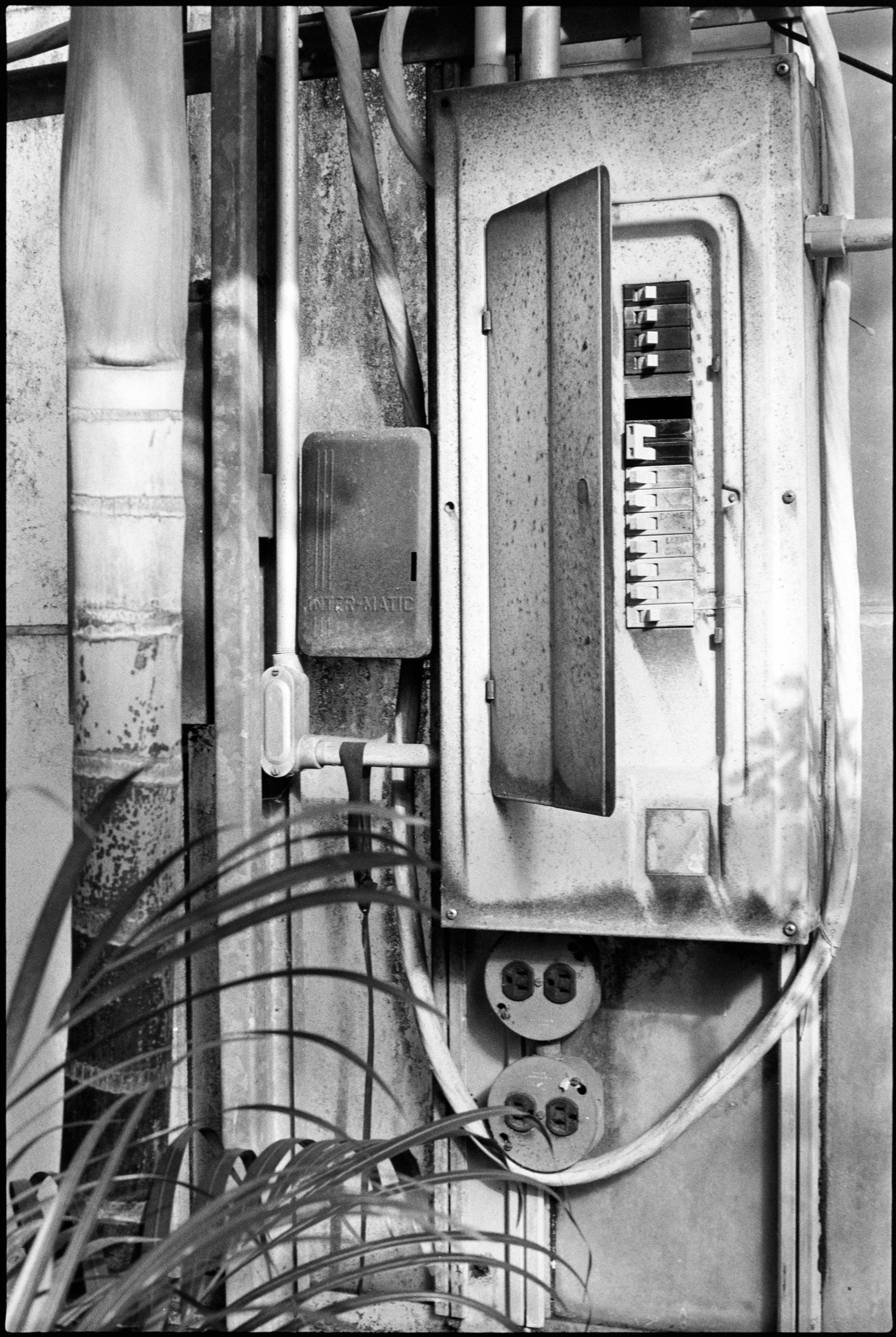 PA / Nikon F3 / Fp4+ / 2.11.22