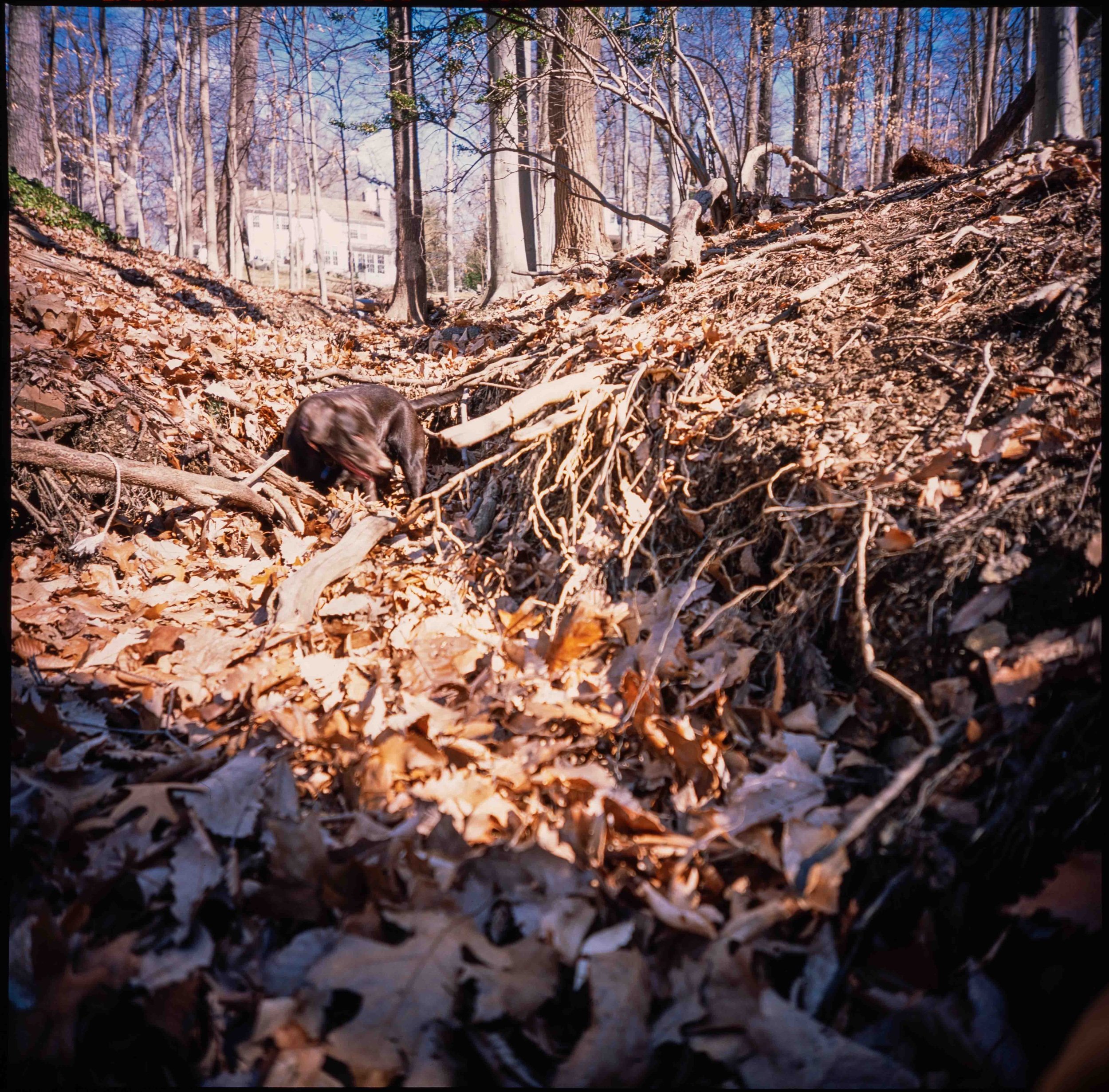 PA / LCA 120 / Velvia100 exp. '13 / 3.1.22