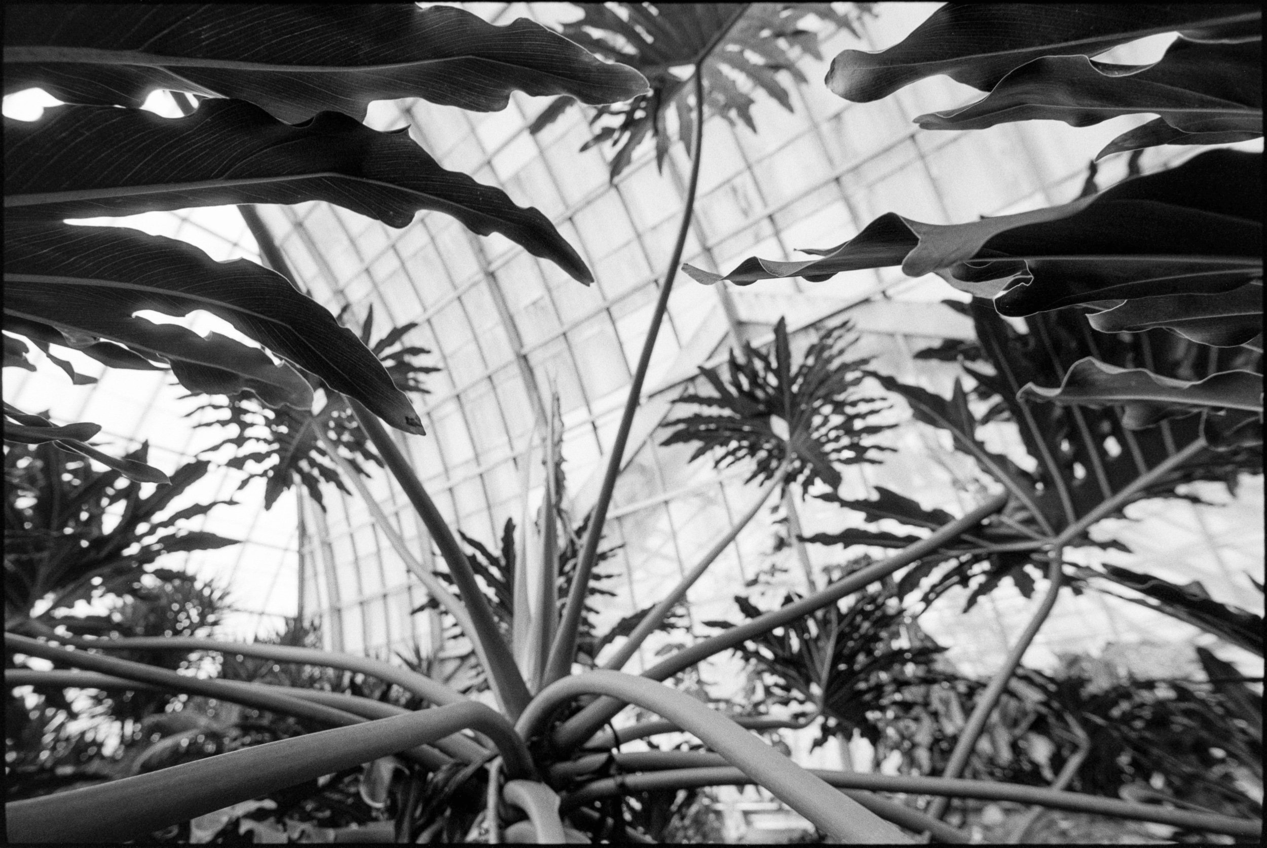 PA / M6 / fp4+ @100 / 3.4.22