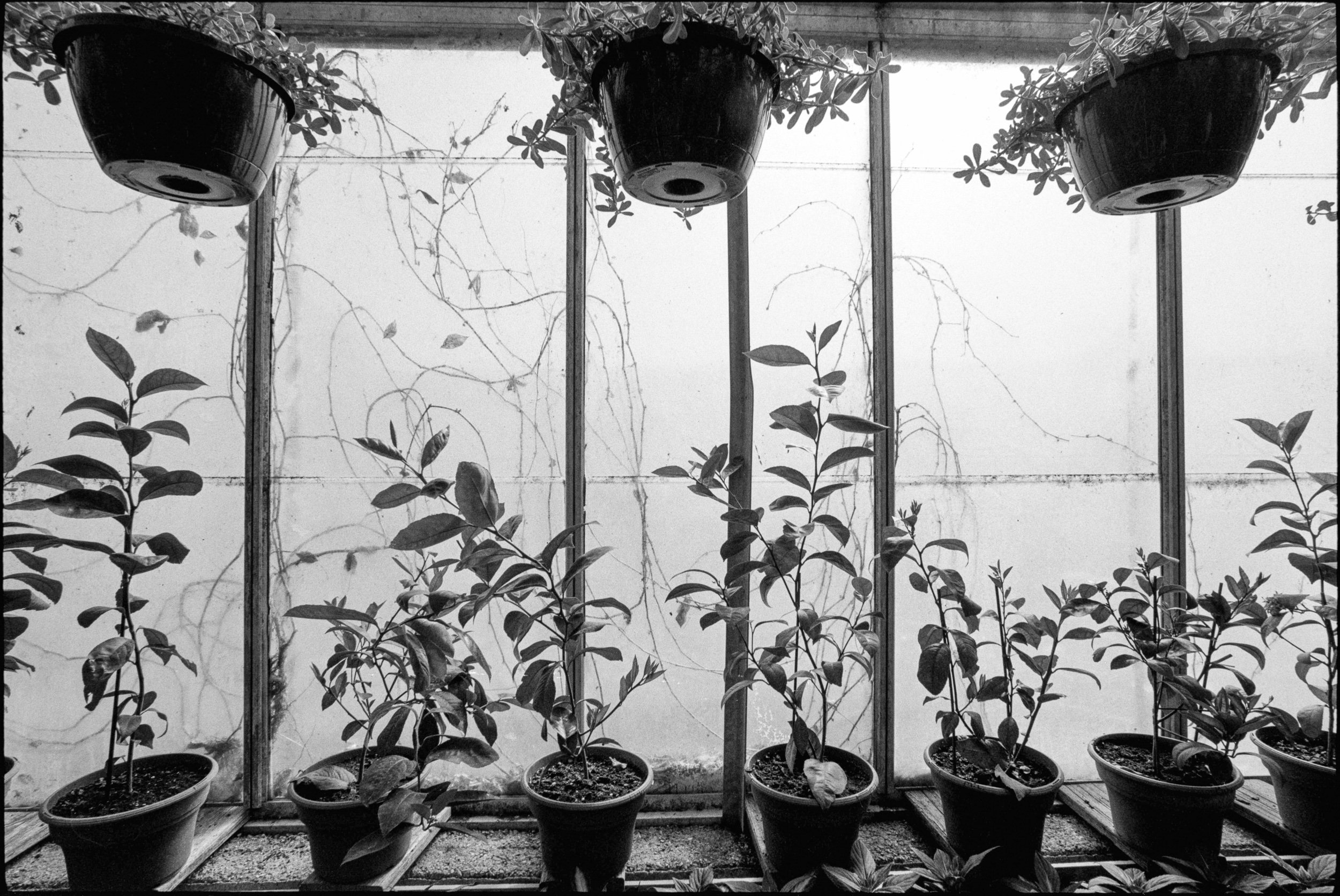 PA / M6 / fp4+ @100 / 3.4.22