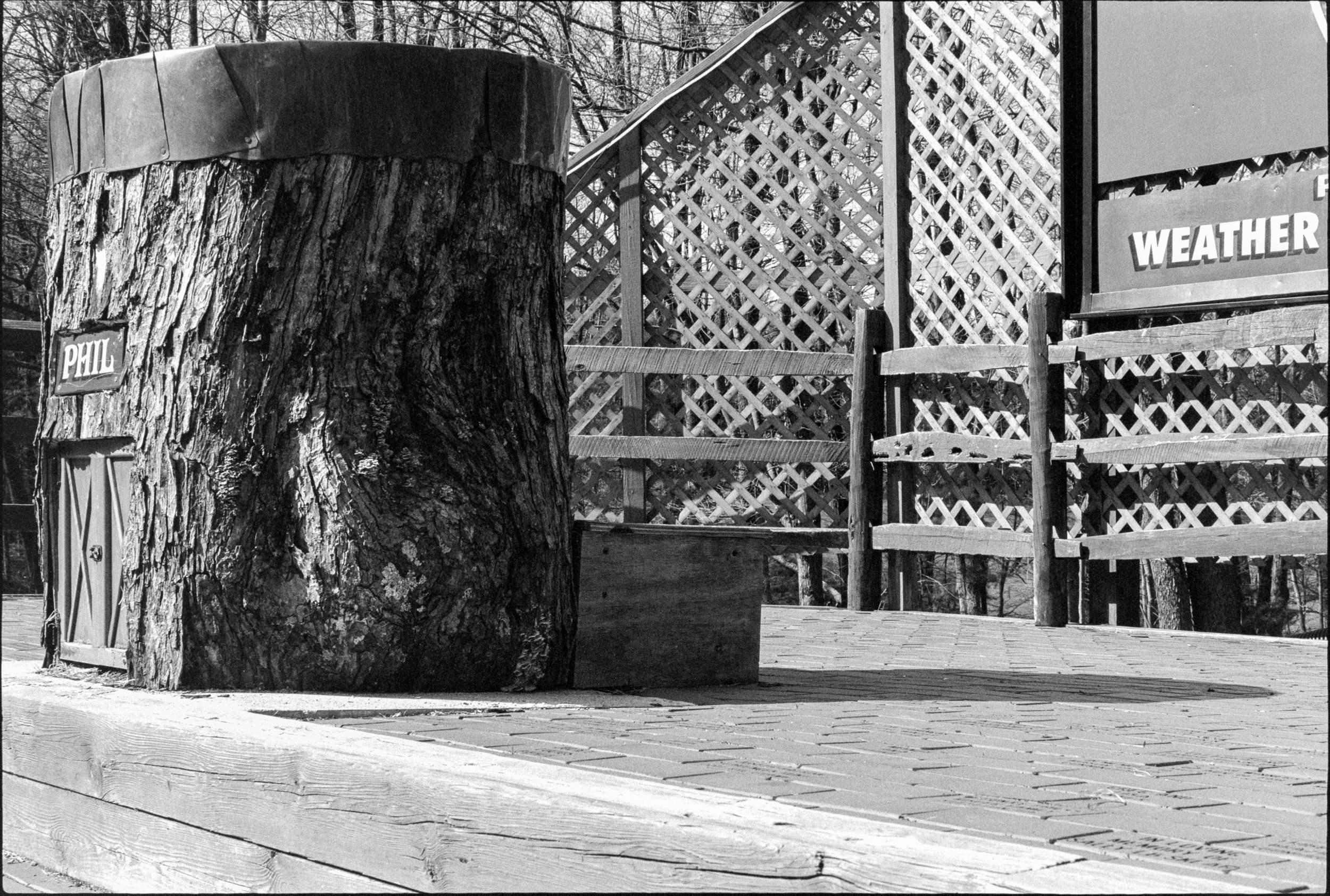 PA / Nikon F / fp4+ / 4.29.22