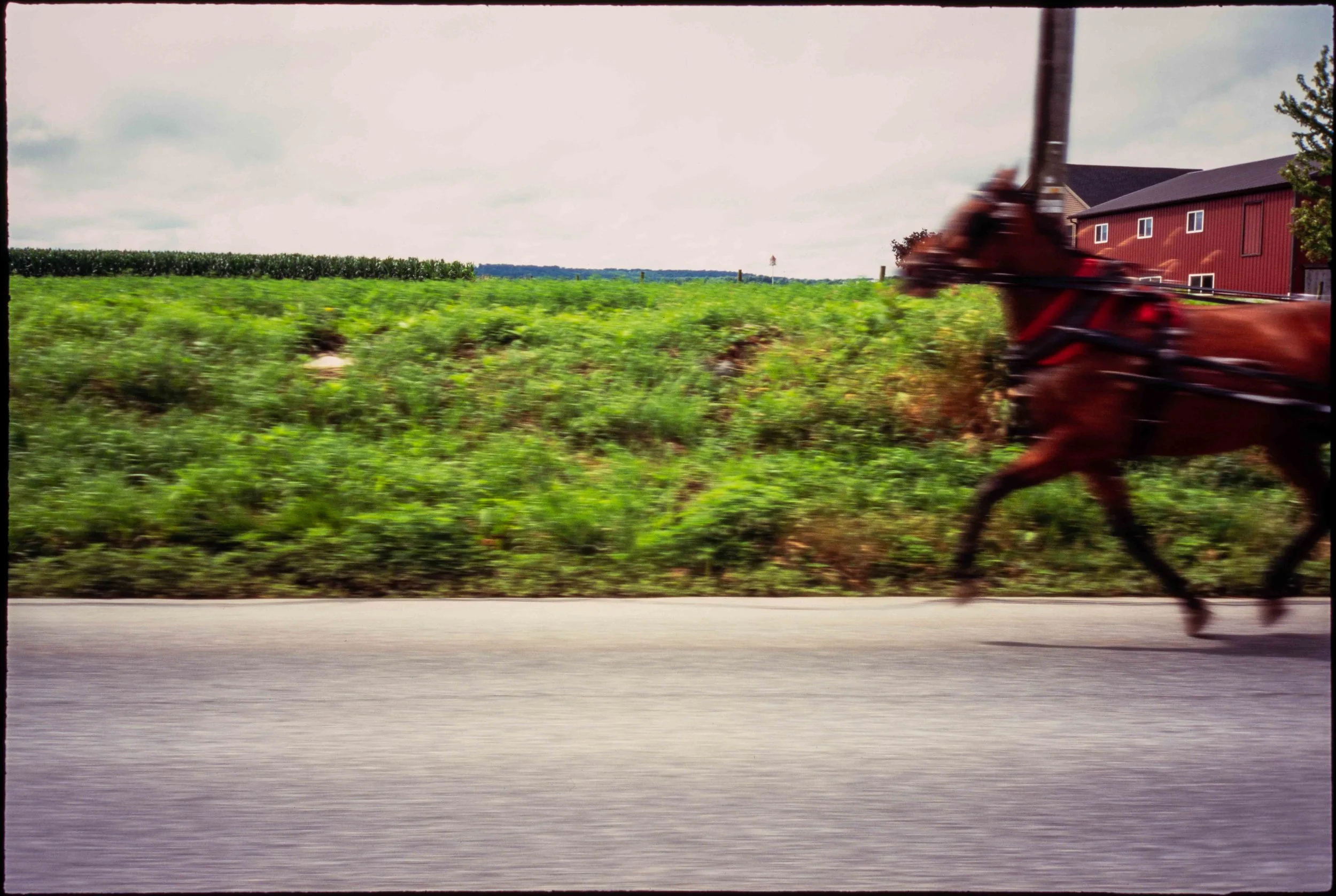 PA / Mju2 / velvia100 / 7.7.22